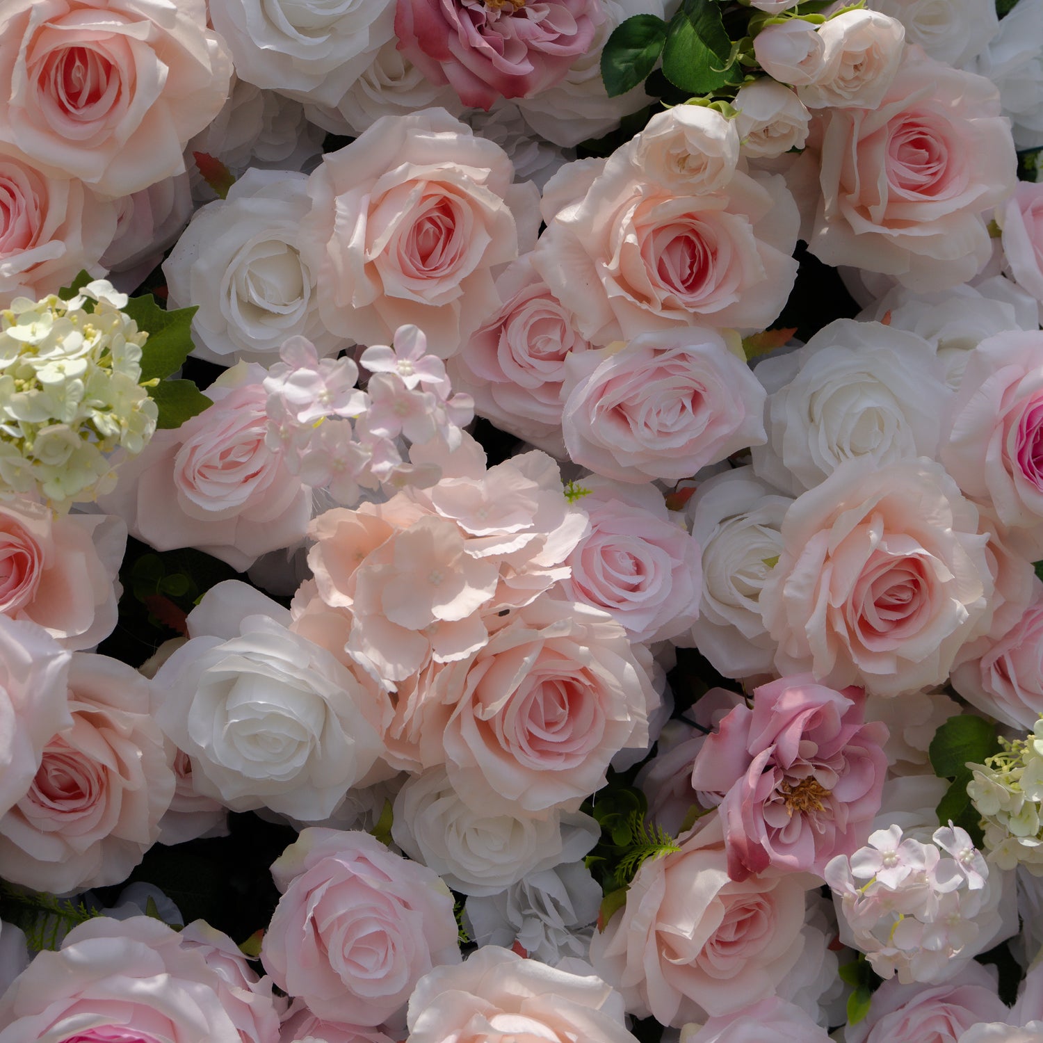 Chelsea:5D Fabric Artificial rolling up curtain flower wall Rose Morning