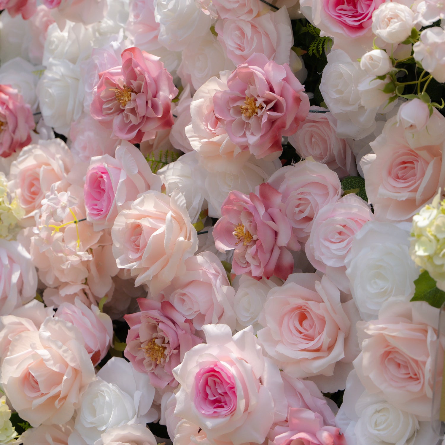 Chelsea:5D Fabric Artificial rolling up curtain flower wall Rose Morning