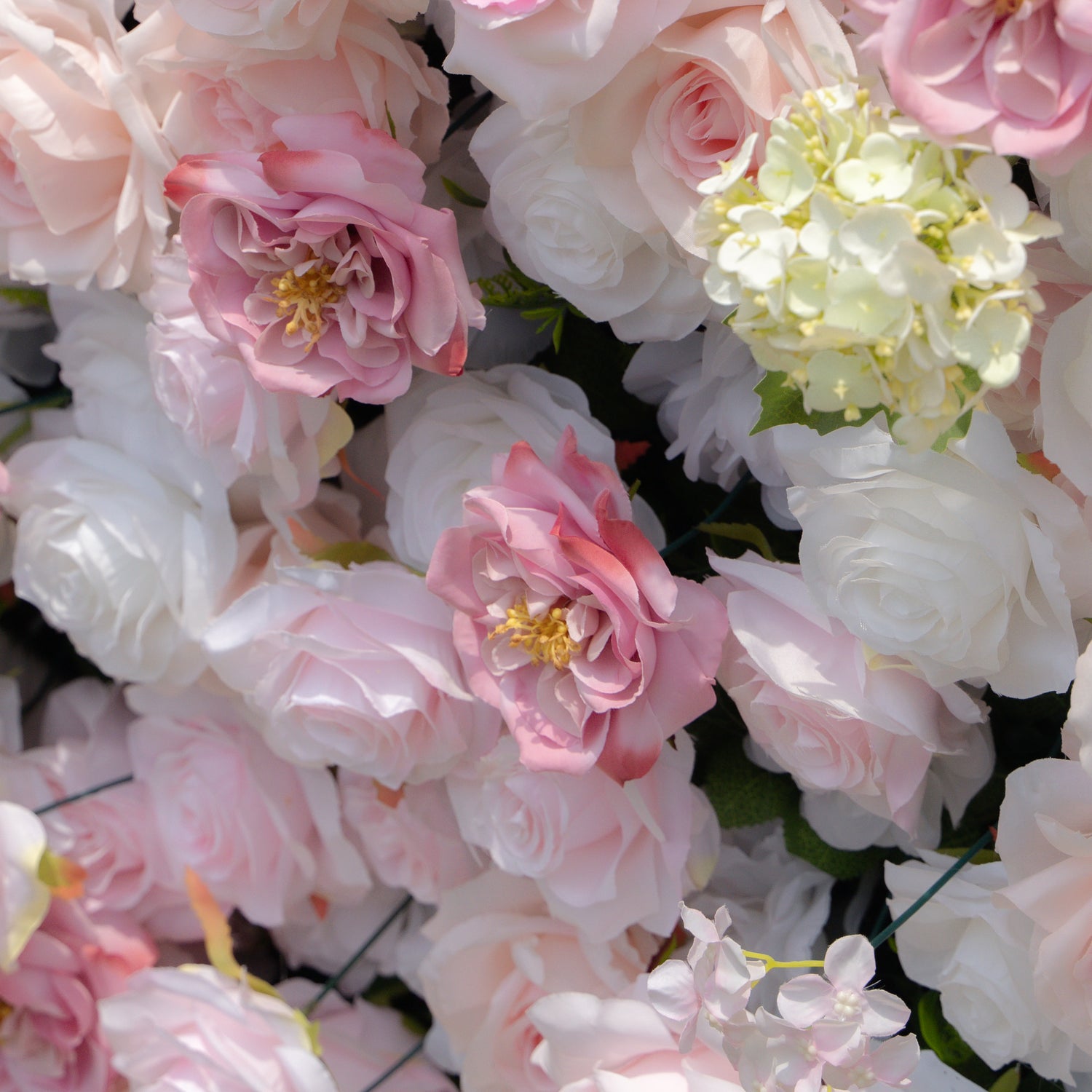 Chelsea:5D Fabric Artificial rolling up curtain flower wall Rose Morning