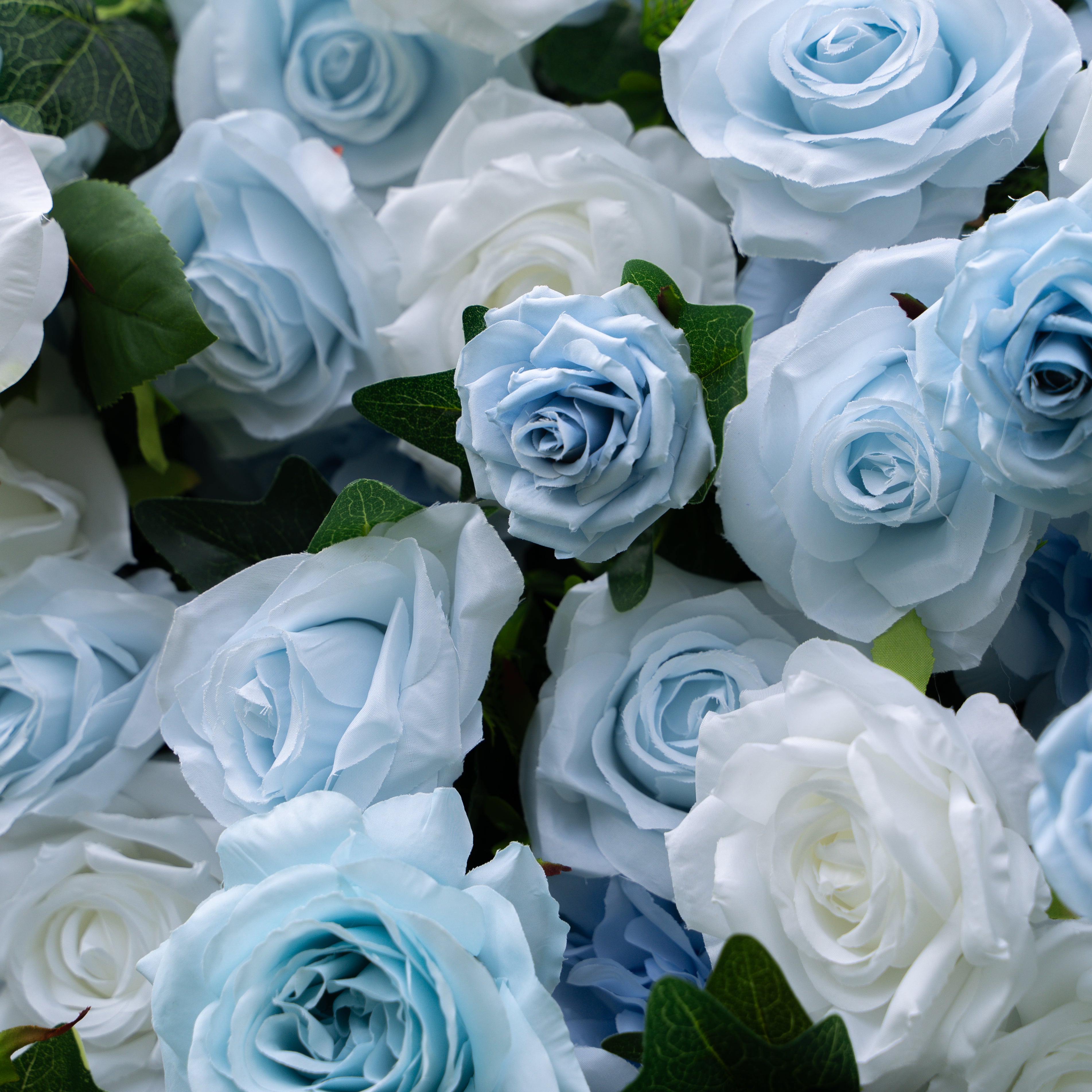 Cheska:5D Fabric Artificial rolling up curtain flower wall