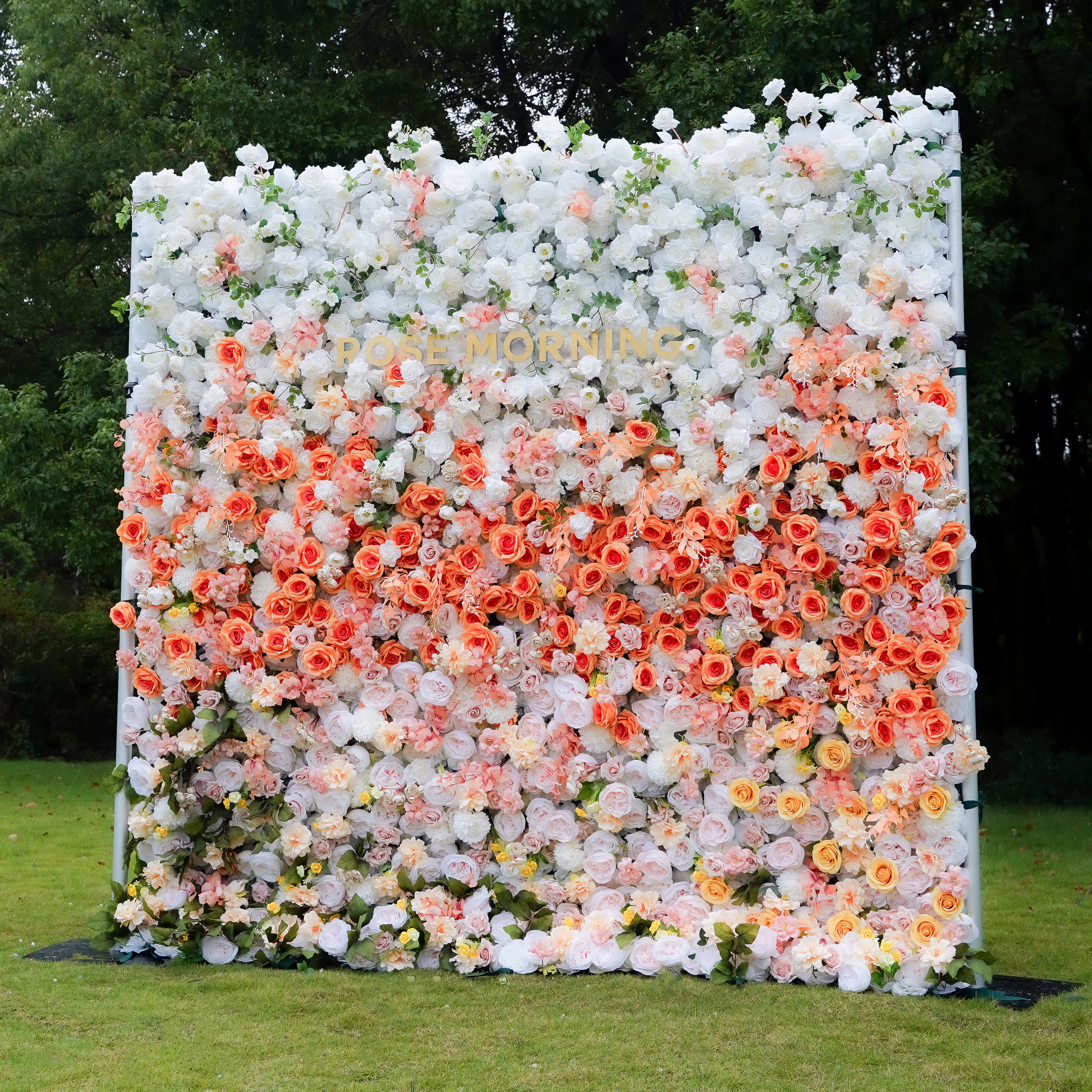 Clara 5D Fabric Artificial Rolling up Curtain Flower Wall Rose Morning