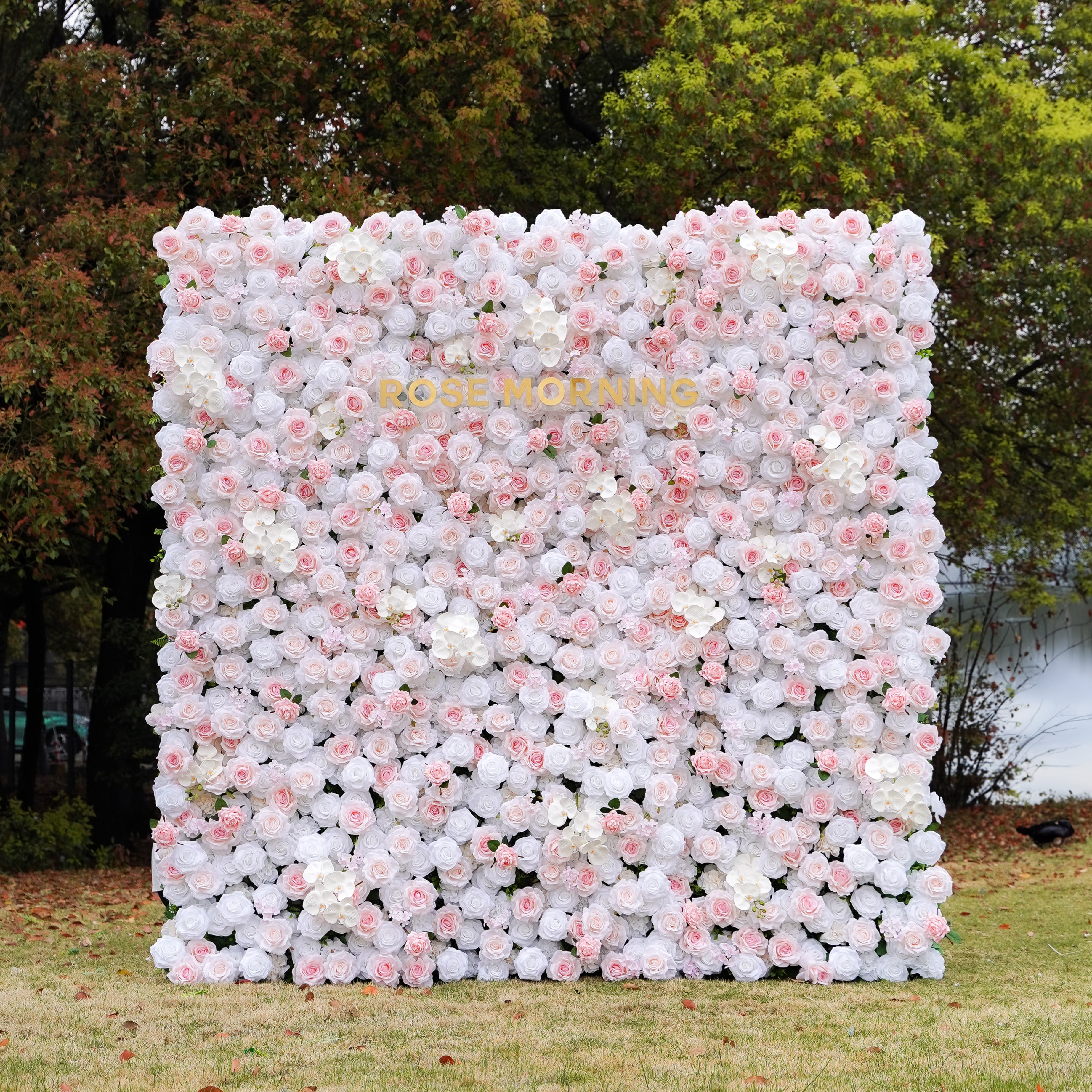 Claudia:5D Fabric Artificial rolling up curtain flower wall Rose Morning