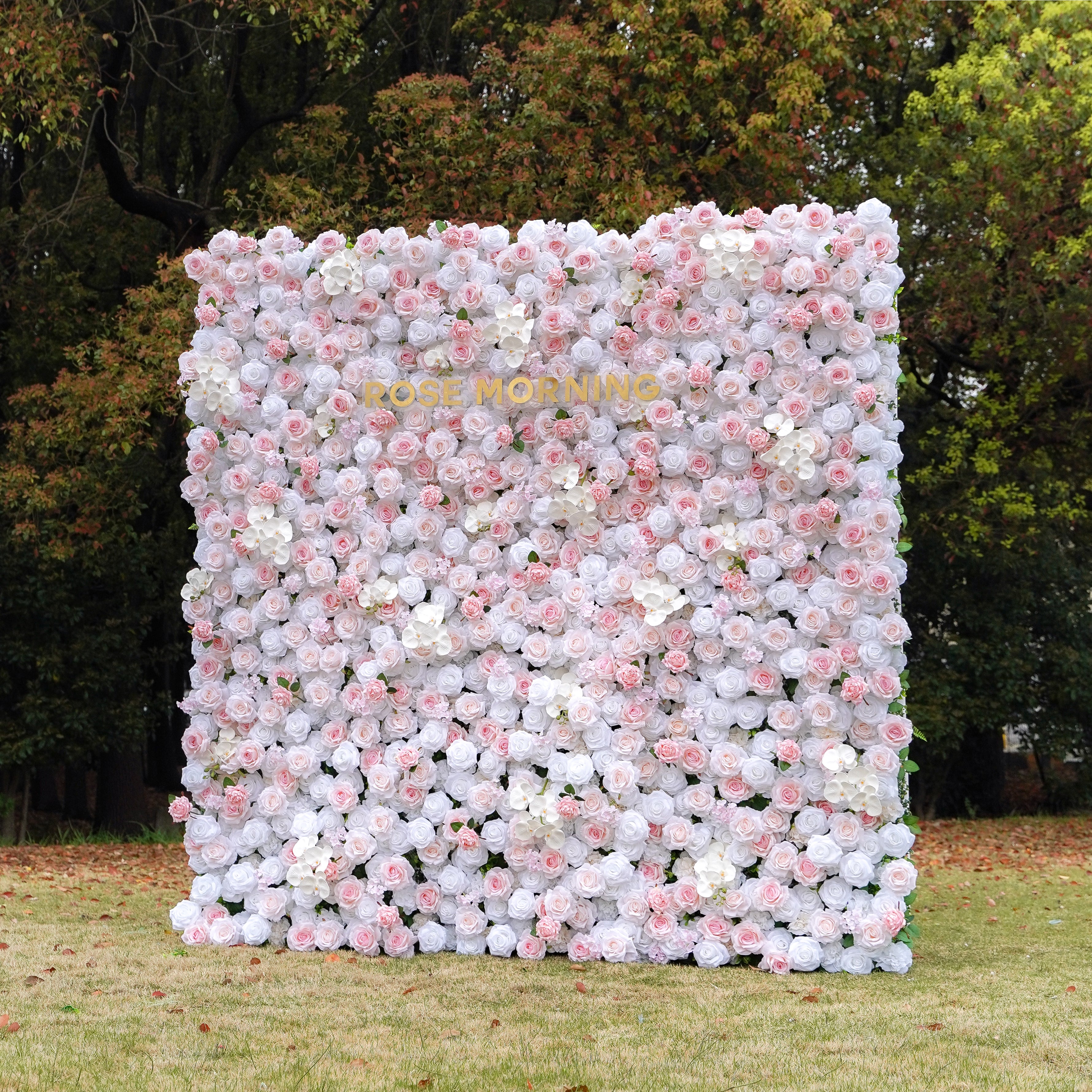 Claudia：5D Fabric Artificial rolling up curtain flower wall Rose Morning