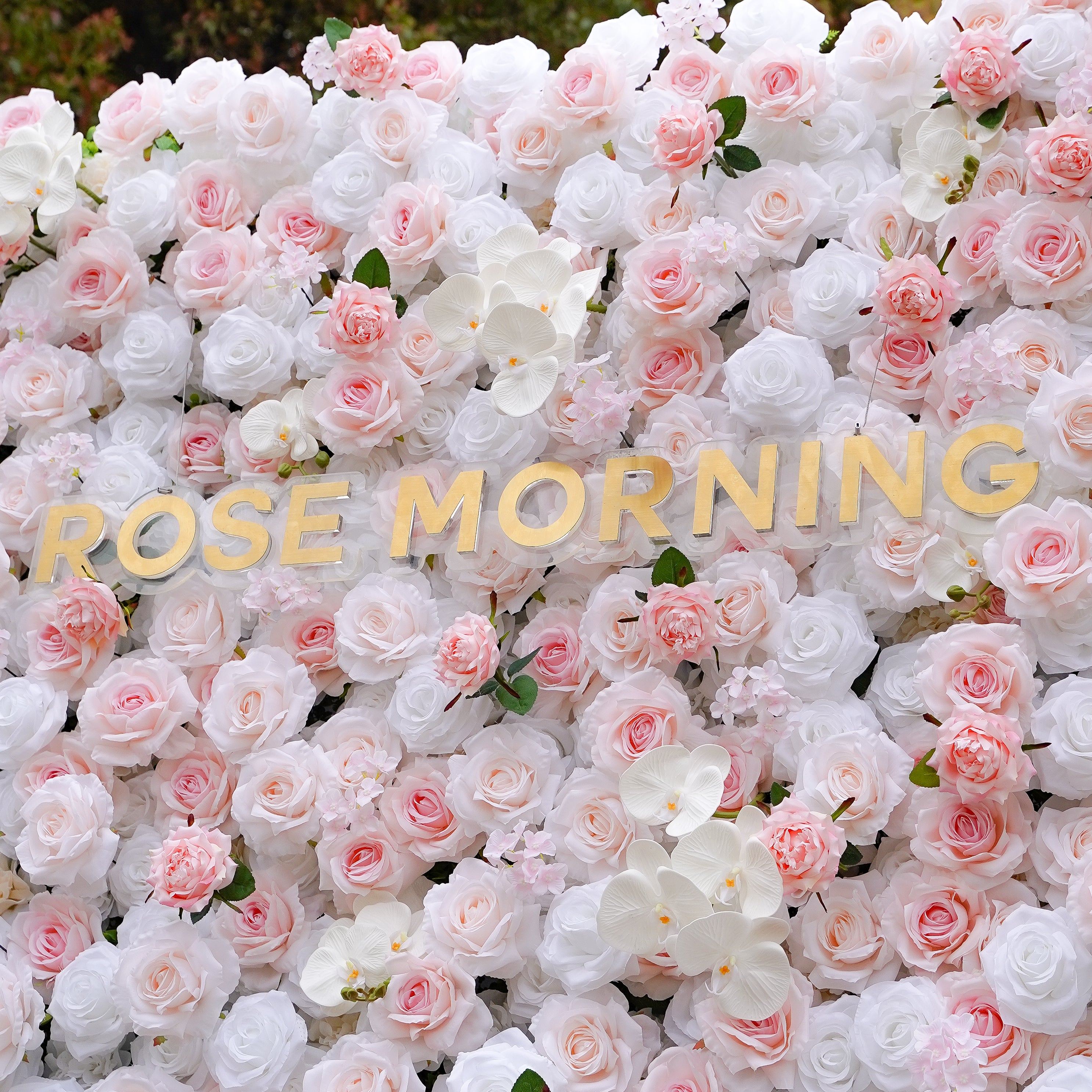 Claudia:5D Fabric Artificial rolling up curtain flower wall Rose Morning