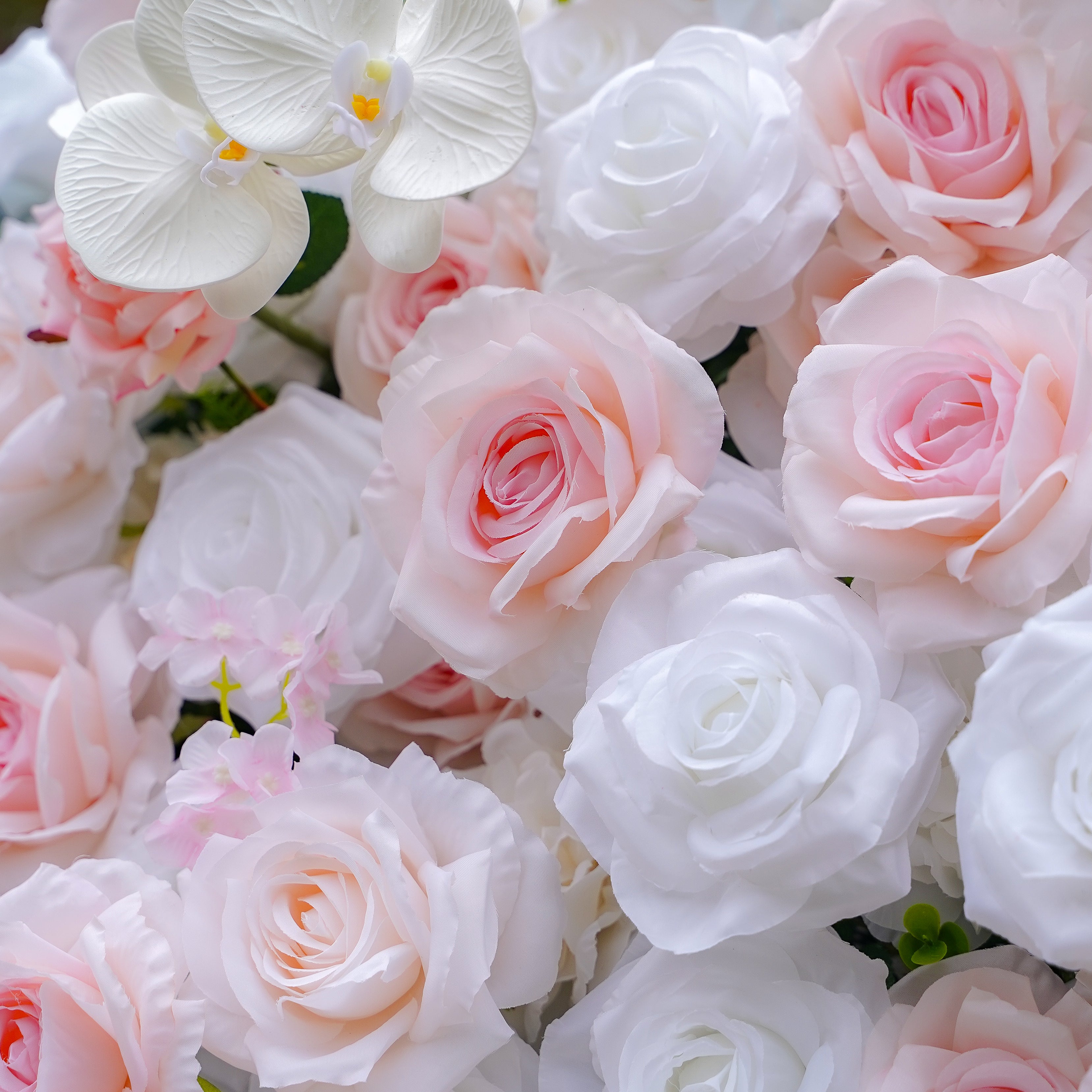 Claudia:5D Fabric Artificial rolling up curtain flower wall Rose Morning