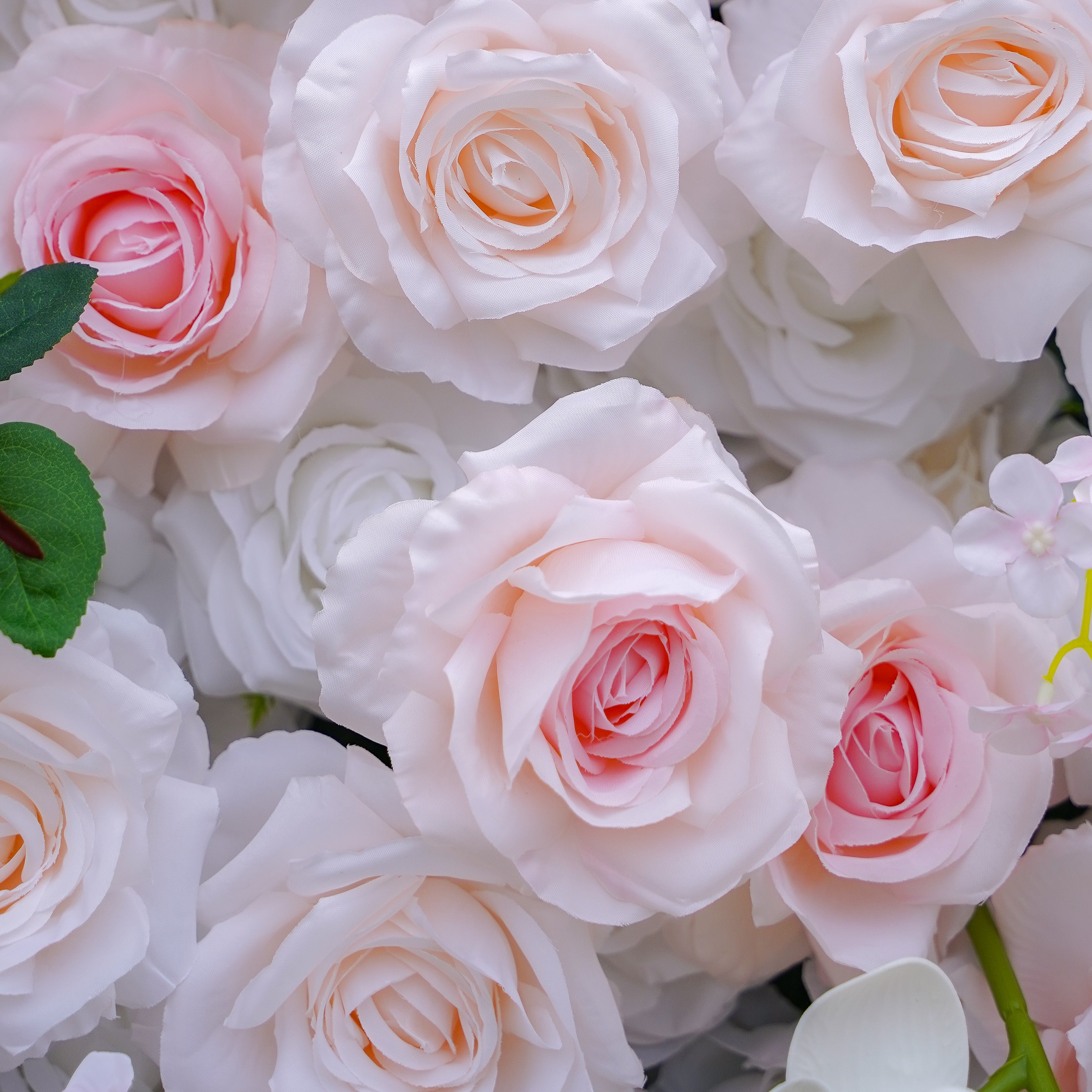Claudia:5D Fabric Artificial rolling up curtain flower wall Rose Morning