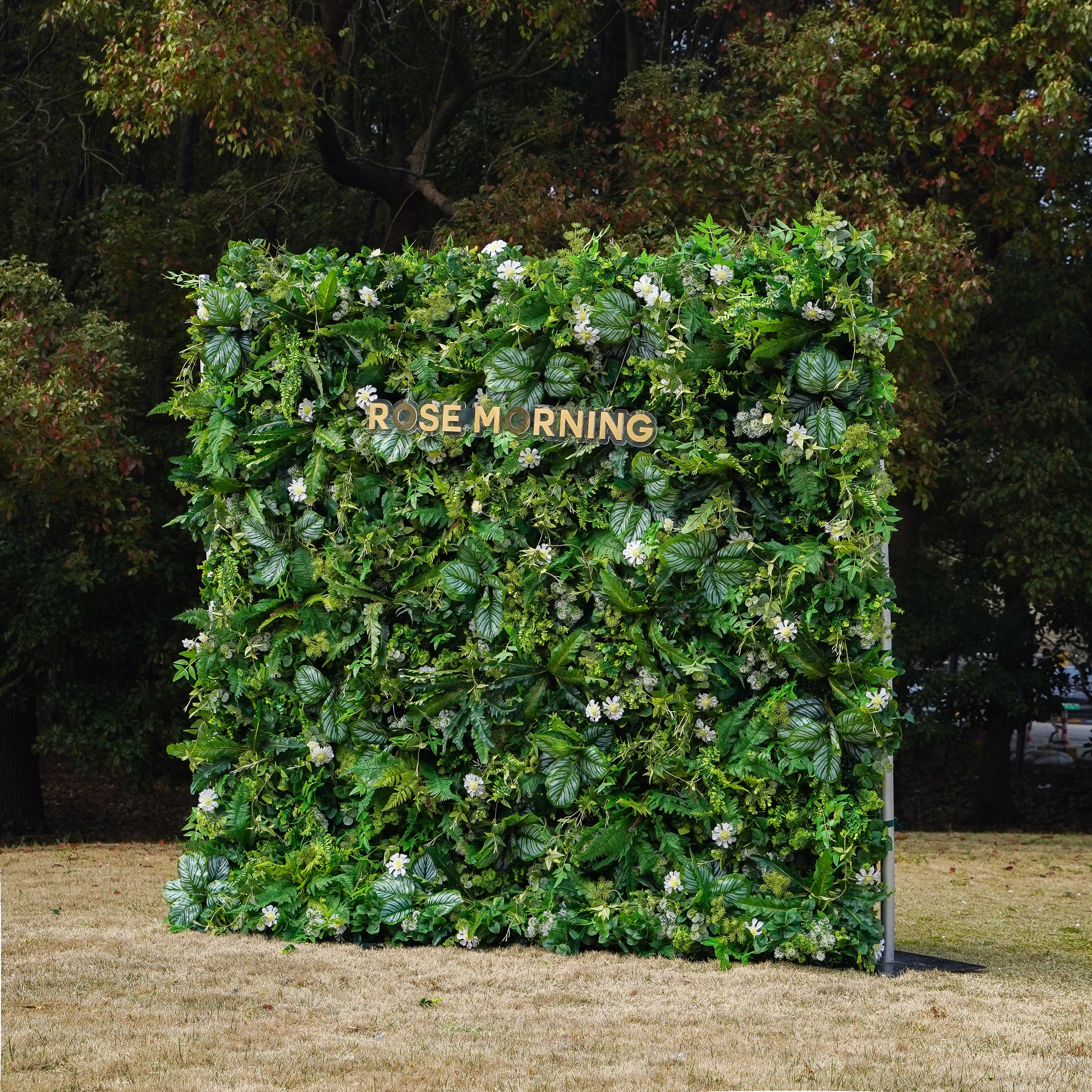 Coral:5D 2023 Fabric Artificial rolling up curtain flower wall Rose Morning