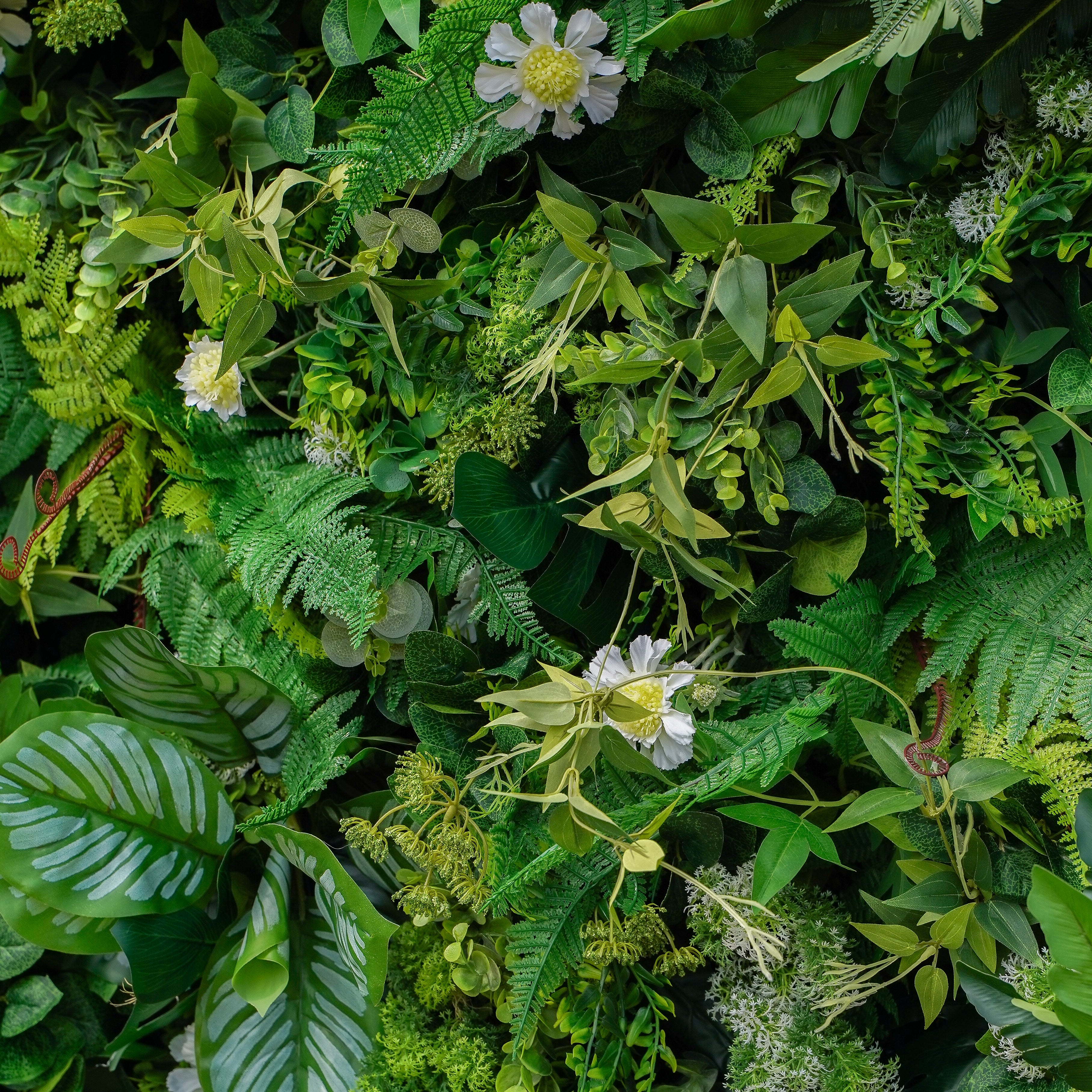 Coral:5D 2023 Fabric Artificial rolling up curtain flower wall Rose Morning