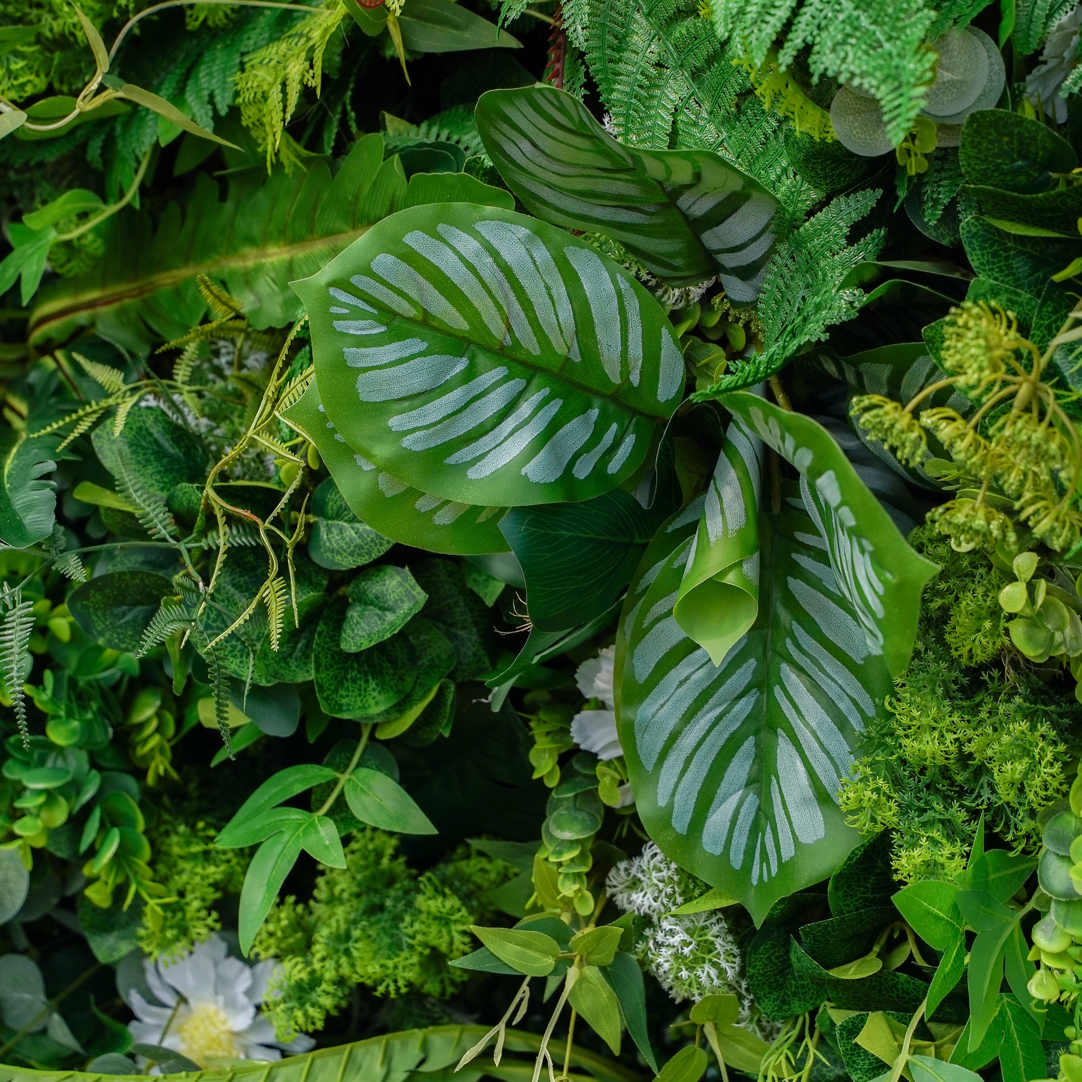 Coral:5D 2023 Fabric Artificial rolling up curtain flower wall Rose Morning