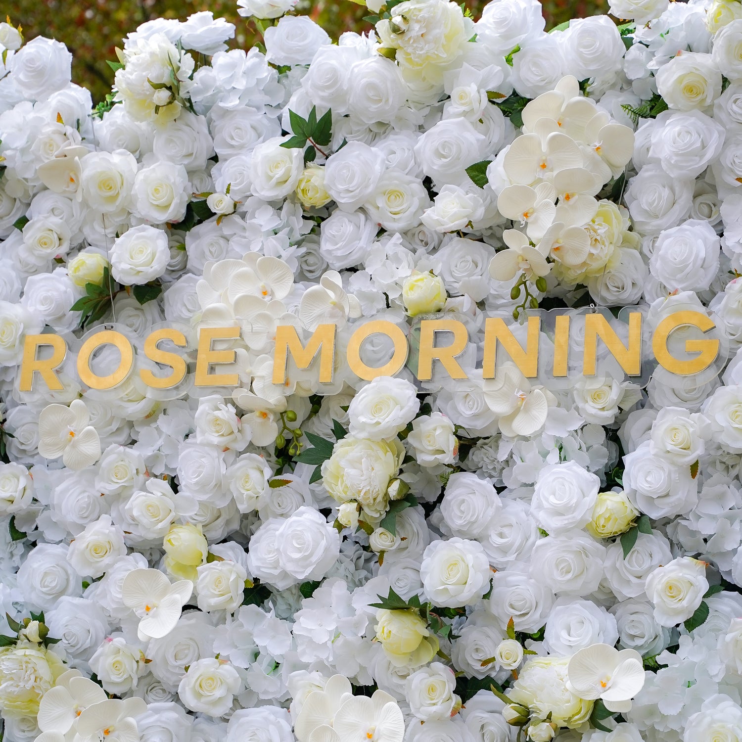 Cotton: Fabric Artificial zip up curtain flower wall 8ft*8ft Rose Morning