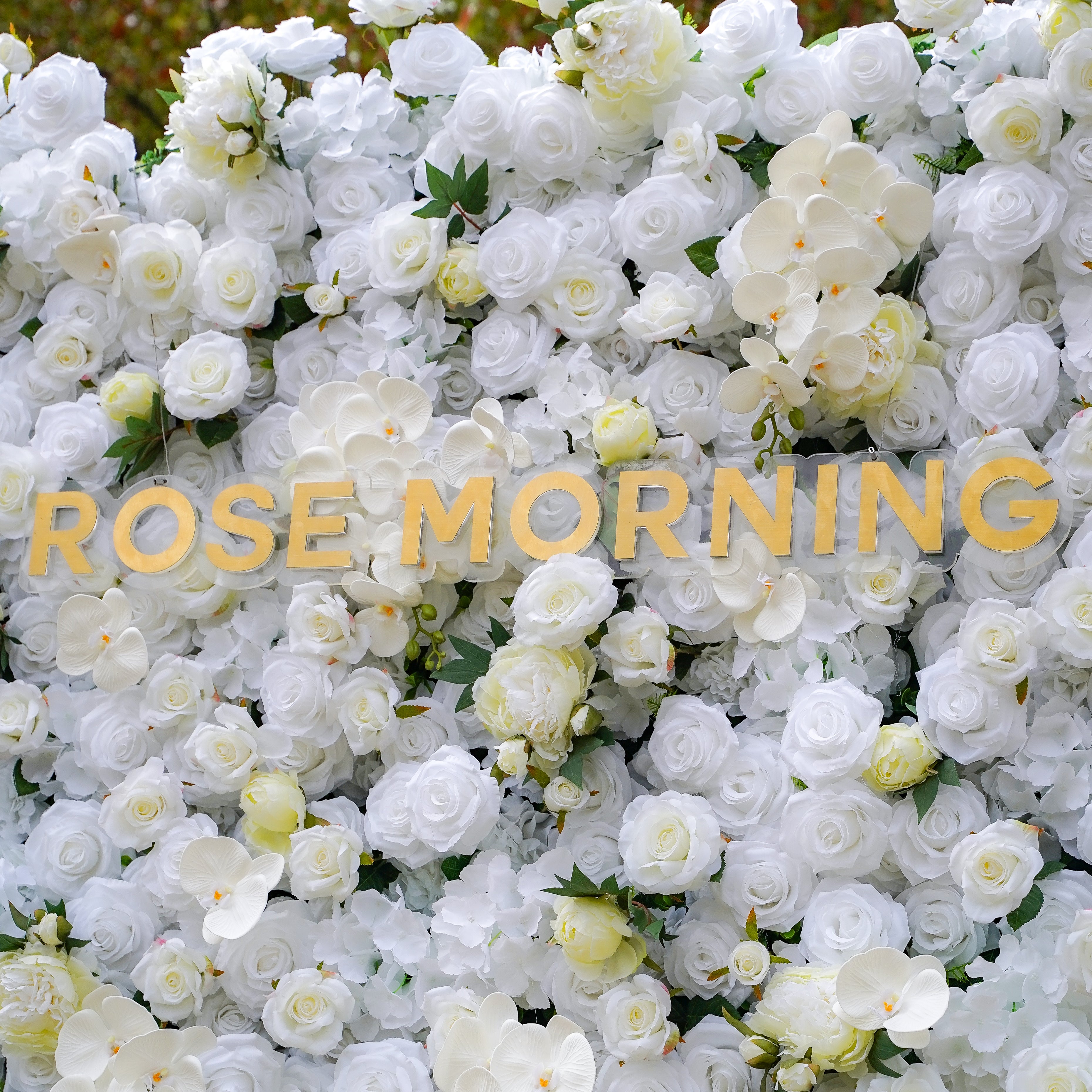Cotton: Fabric Artificial zip up curtain flower wall 8ft*8ft Rose Morning