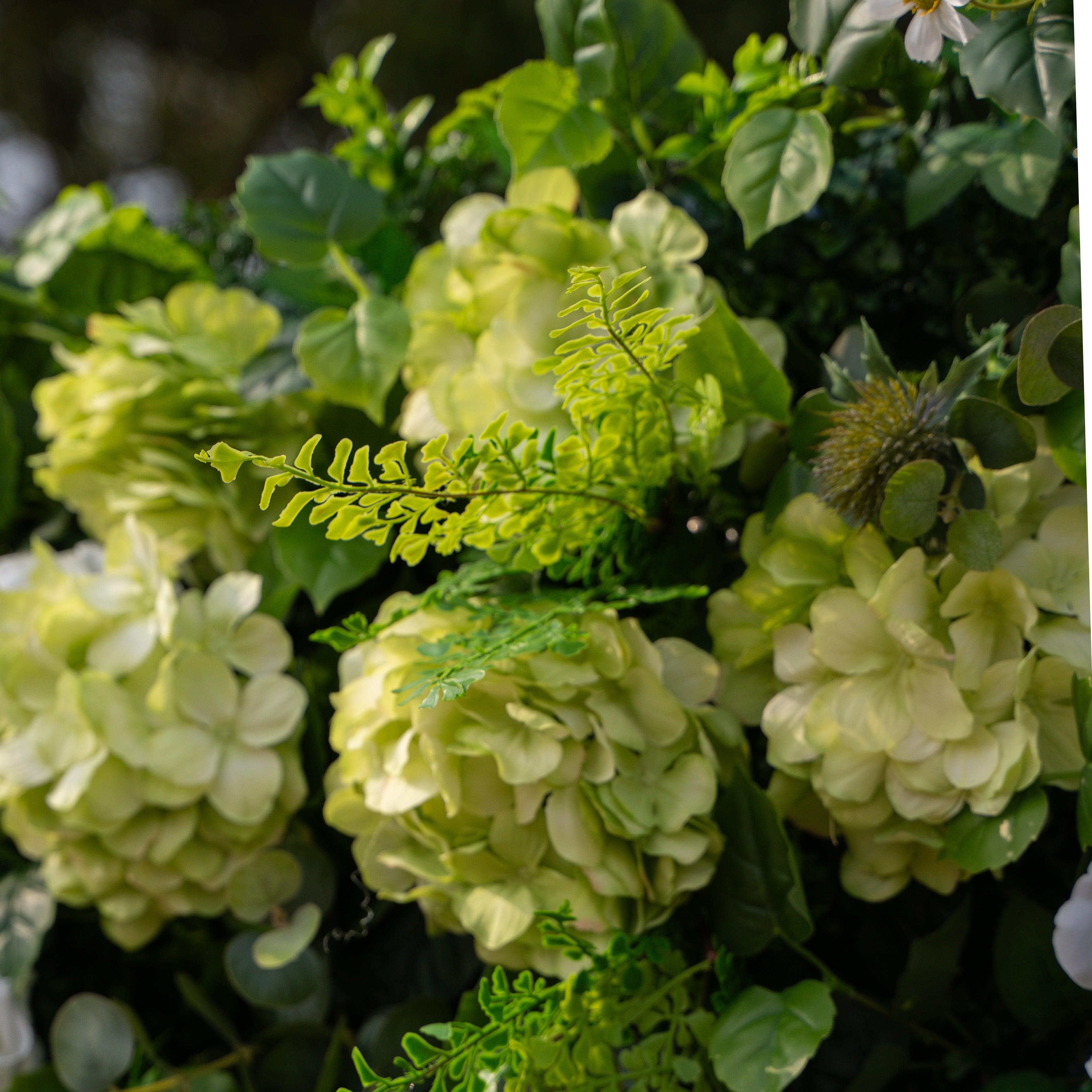 Cressida: 3D Elegant White Silk Rose & Greenery Foliage Wall Roll-Up Fabric Backdrop for Luxury Weddings, Parties & Botanical Decor