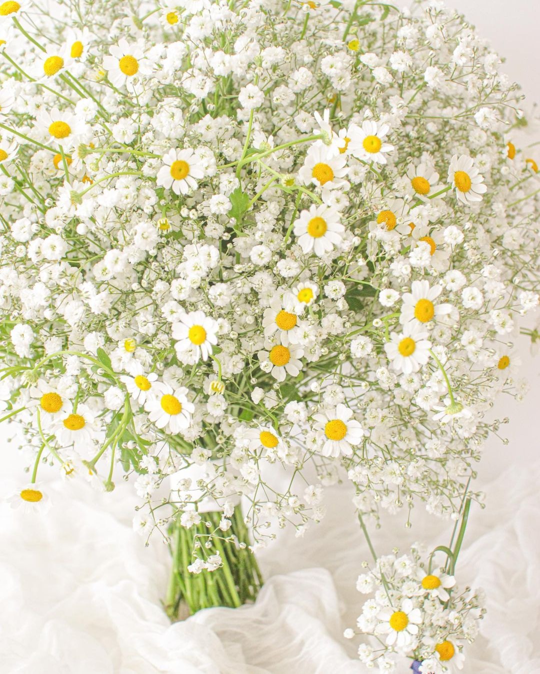 BabyBreath wedding bouquet bridal bouquet -R167 Rose Morning