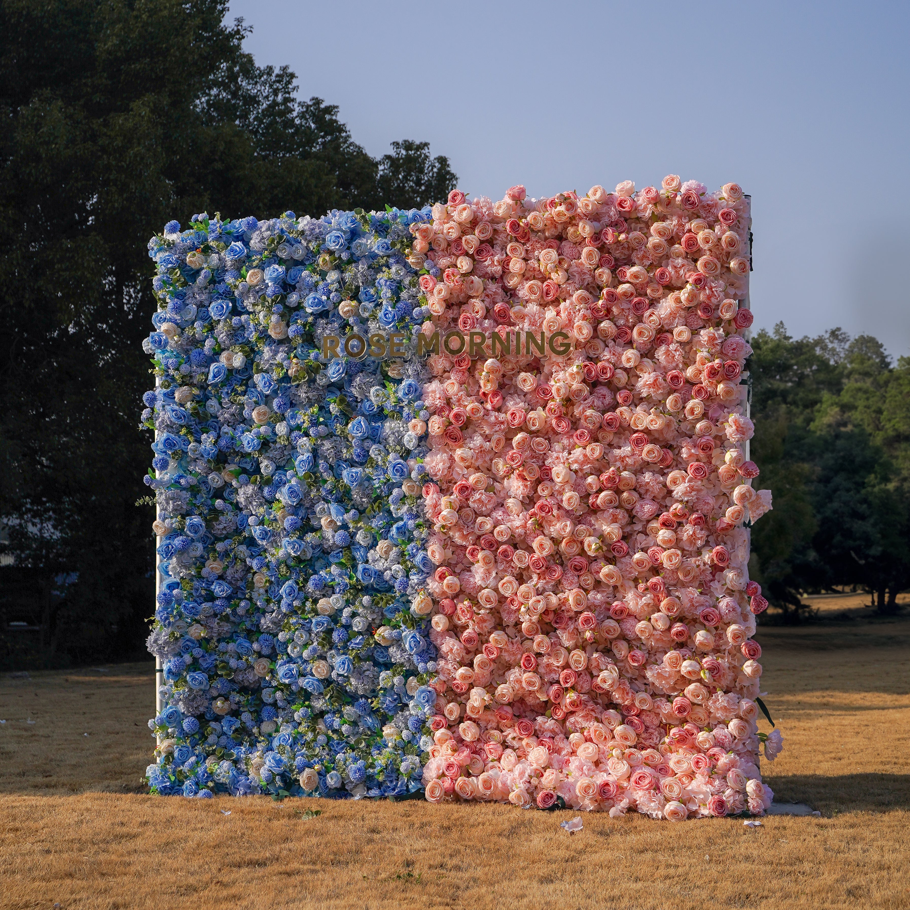 Cyan:5D 2023 Fabric Artificial rolling up curtain flower wall Rose Morning