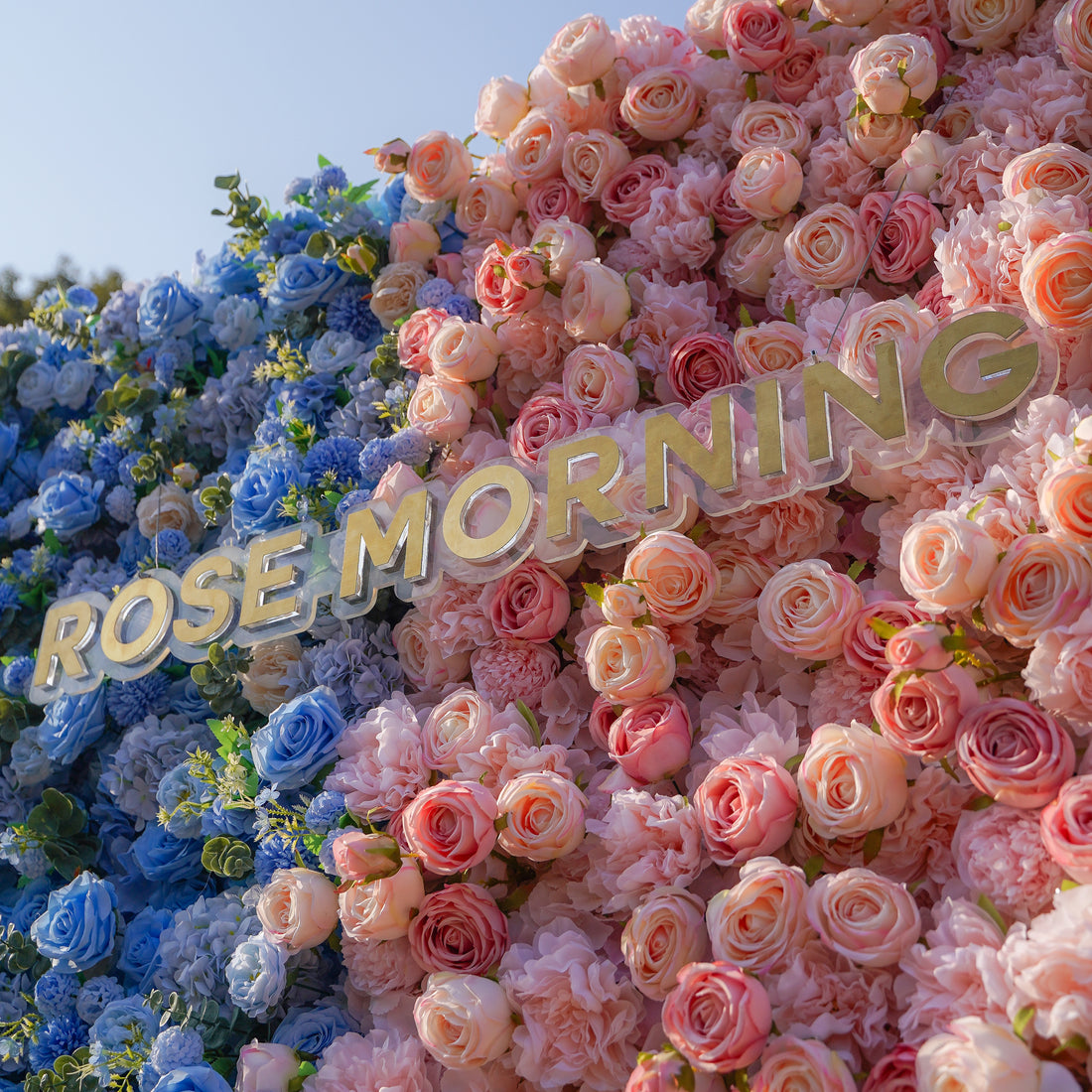 Cyan:5D 2023 Fabric Artificial rolling up curtain flower wall Rose Morning