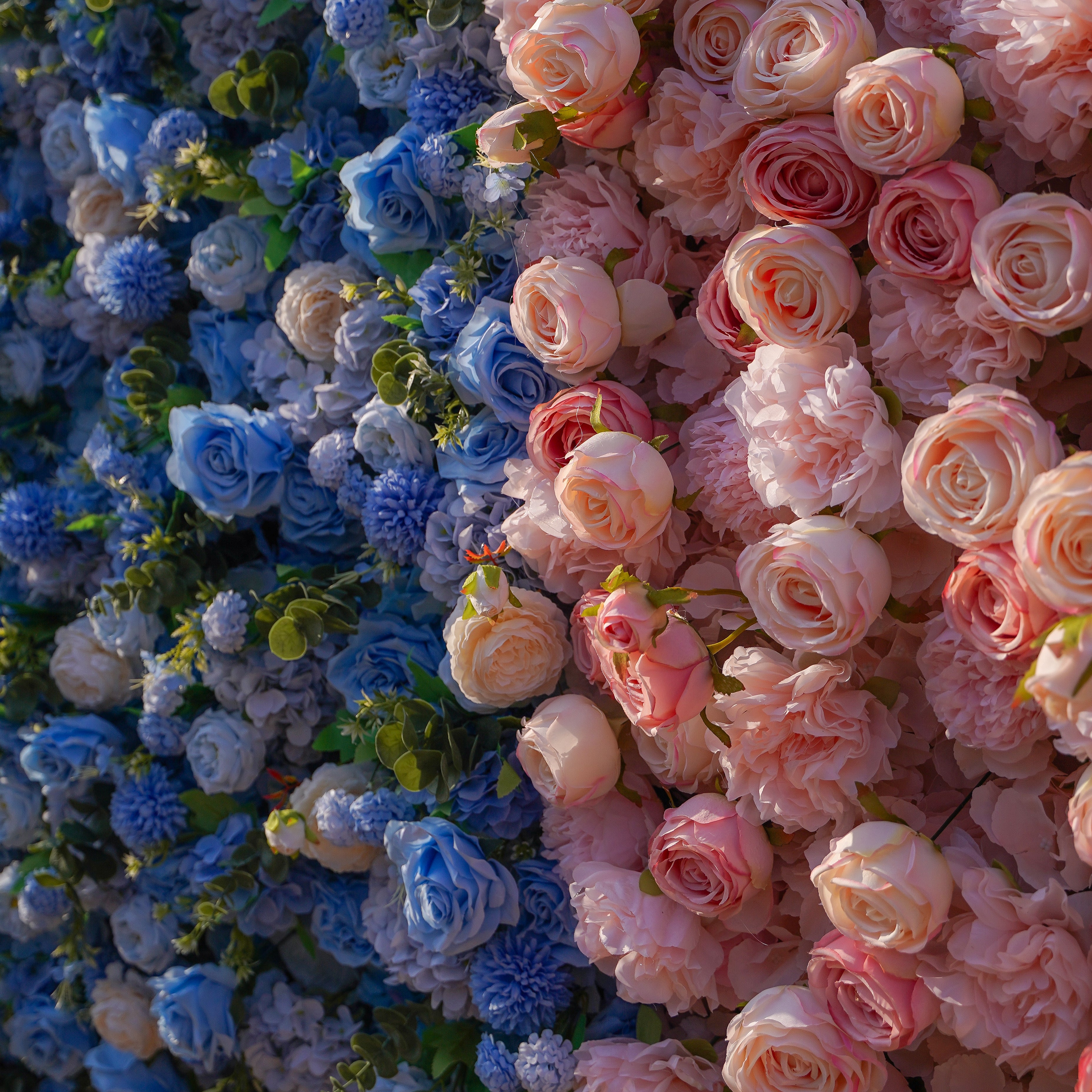 Cyan:5D 2023 Fabric Artificial rolling up curtain flower wall Rose Morning