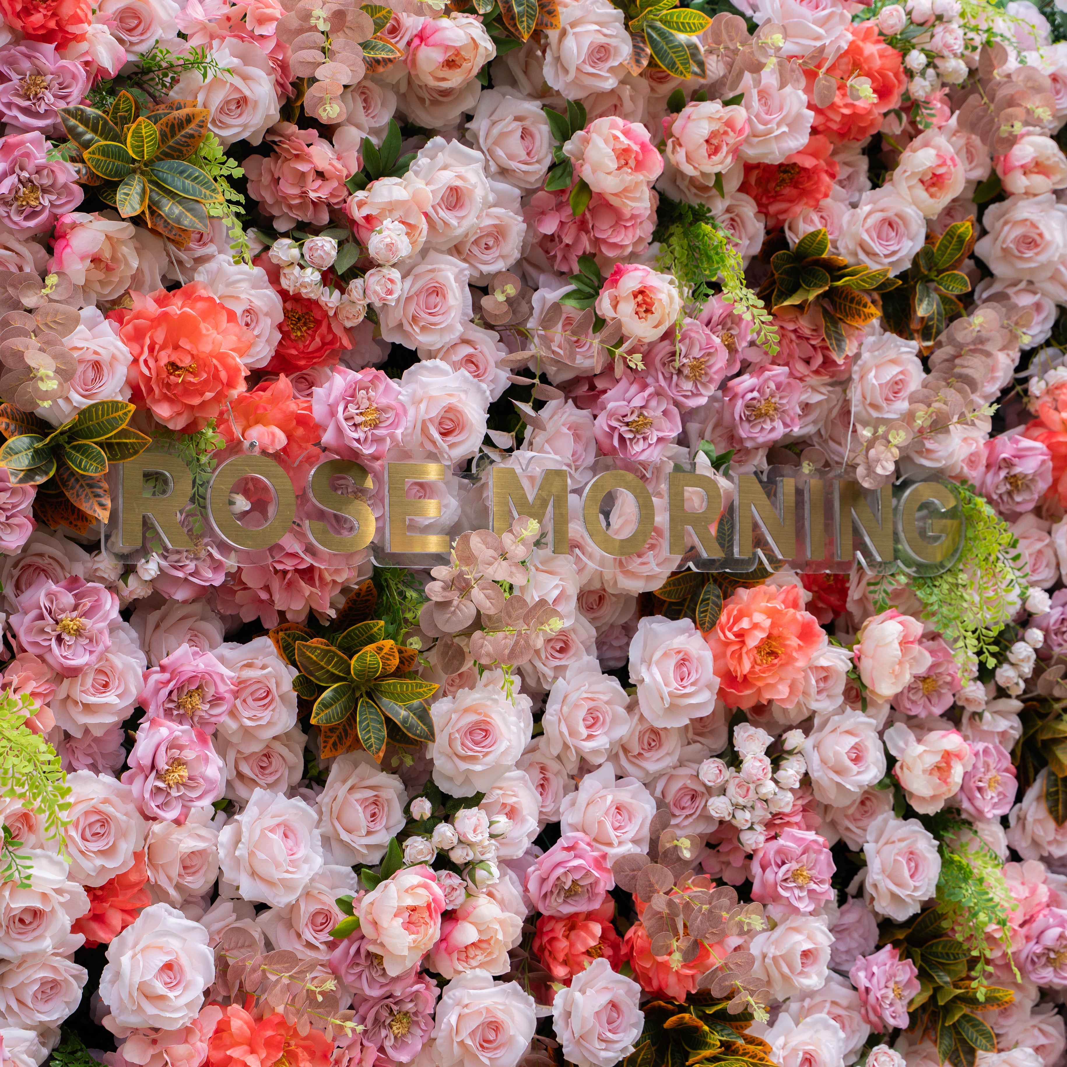 Daniela :5D Fabric Artificial rolling up curtain flower wall