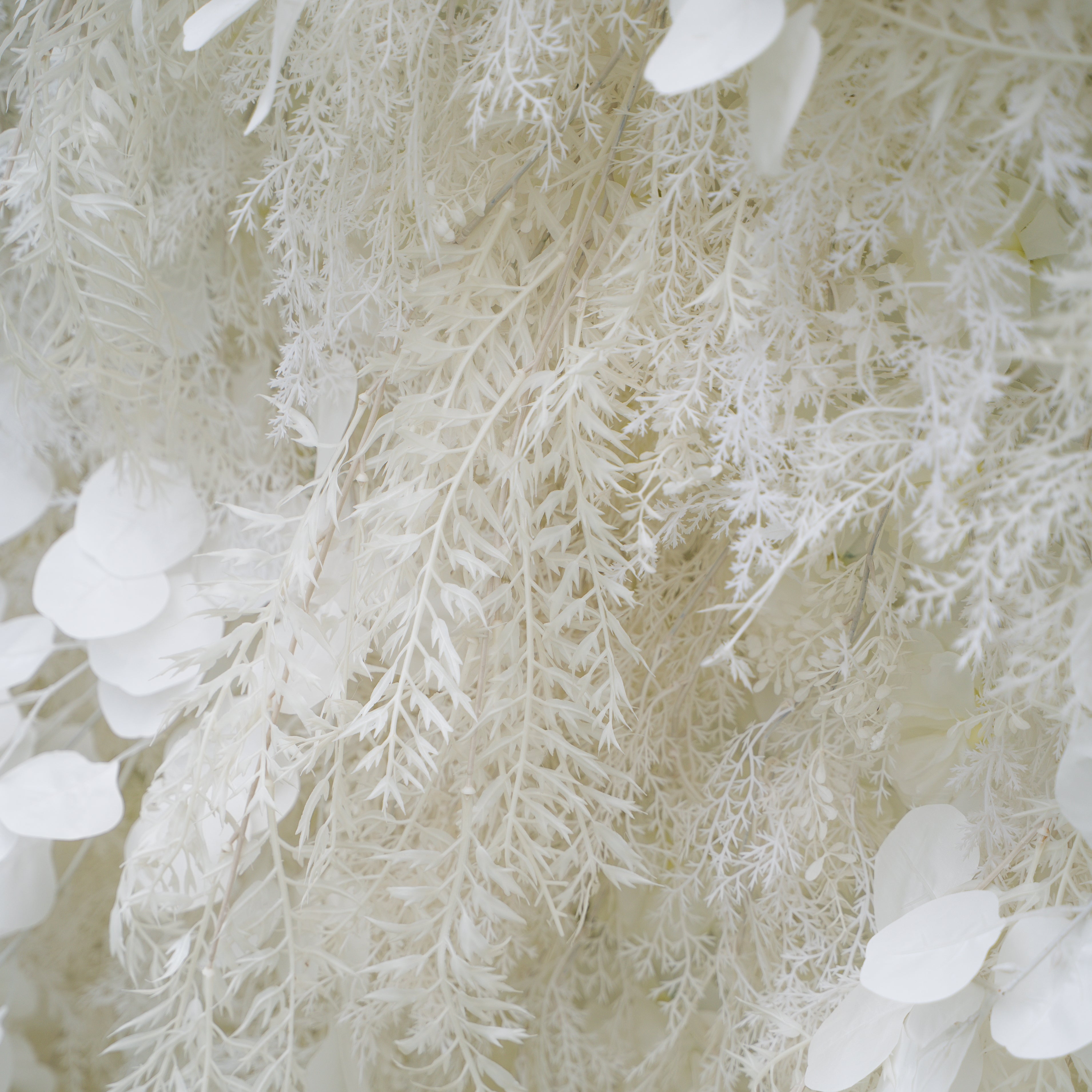 Dream 2025:5D White Fabric Artificial rolling up curtain flower wall