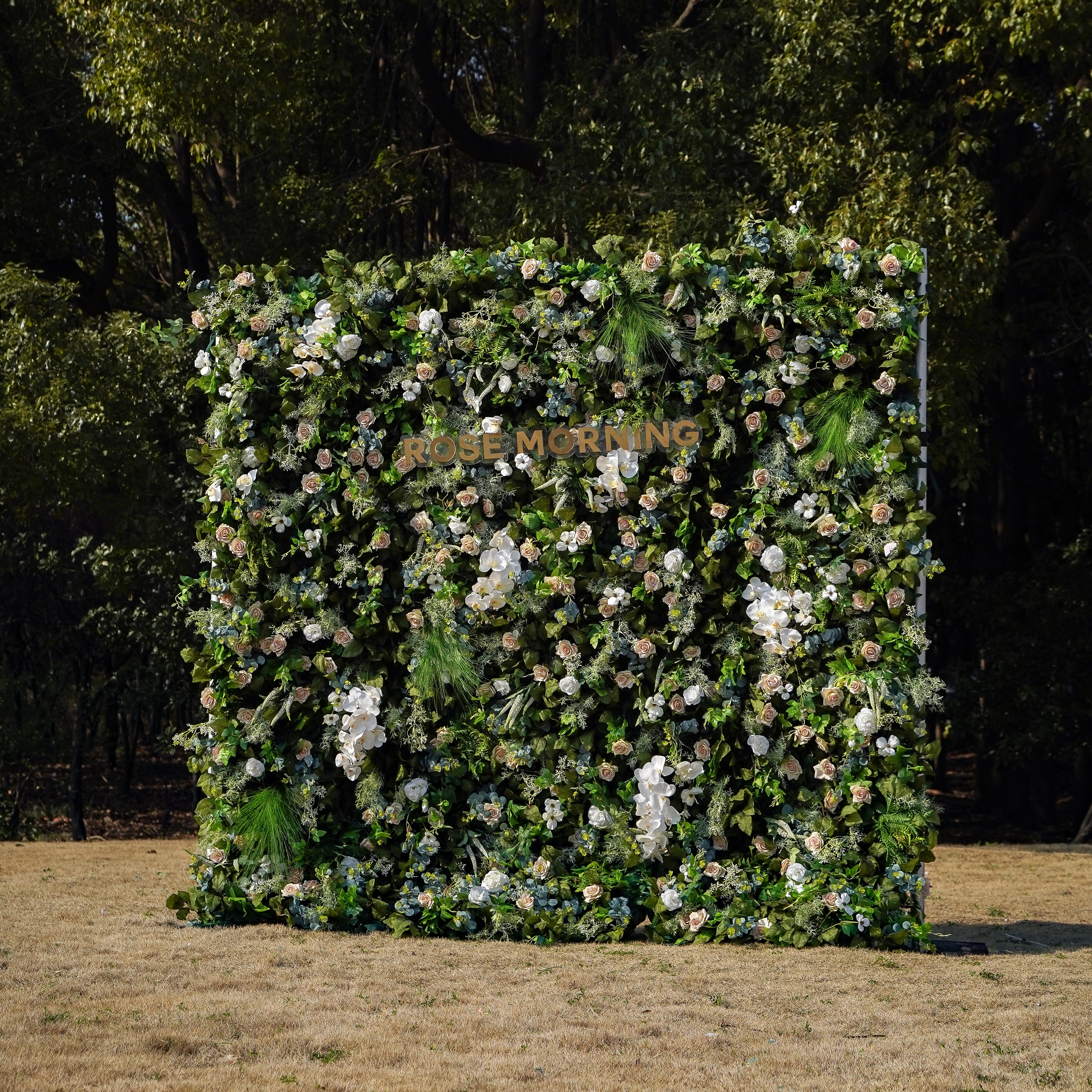 Drusilla:5D Fabric Artificial rolling up curtain flower wall Rose Morning