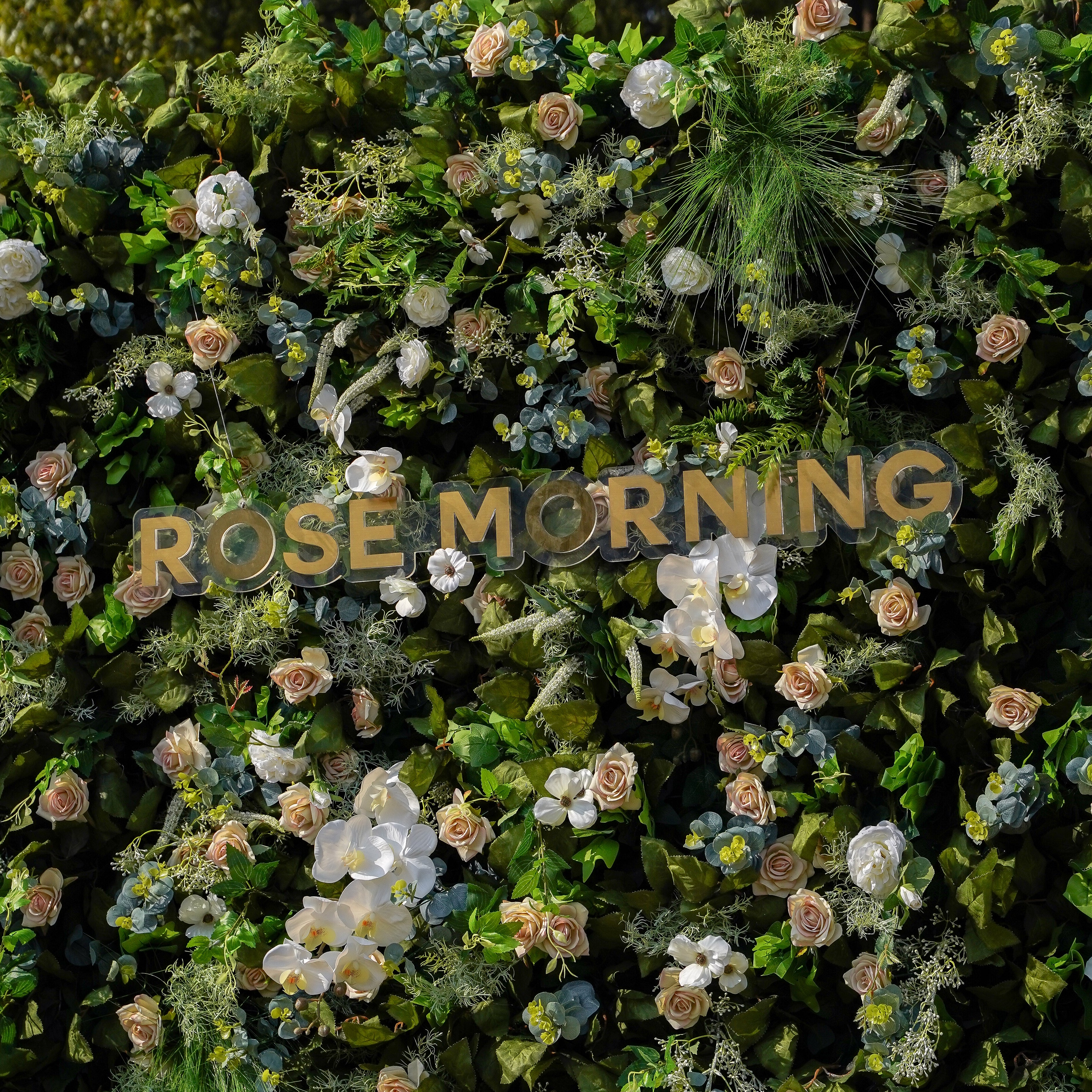 Drusilla:5D Fabric Artificial rolling up curtain flower wall Rose Morning