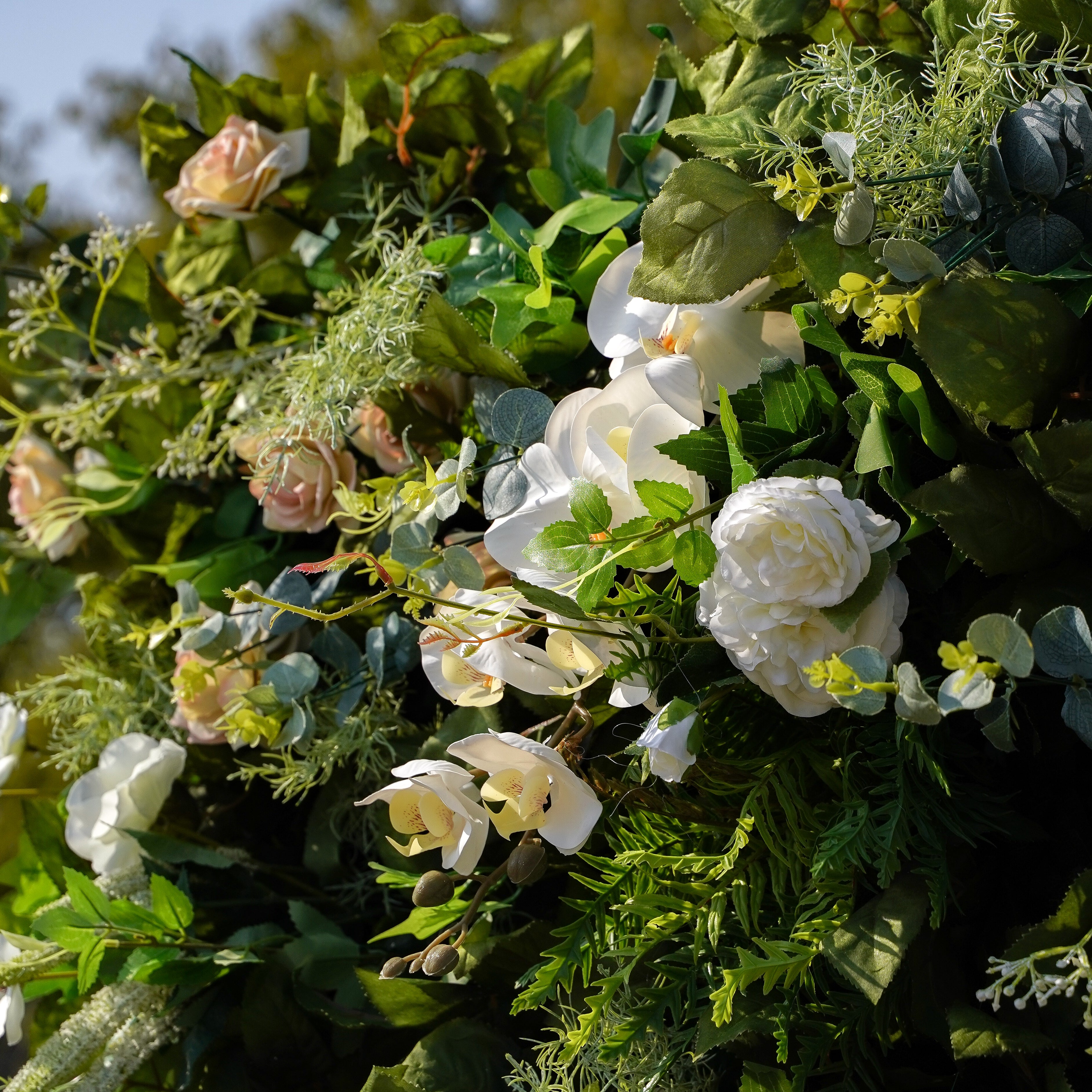 Drusilla:5D Fabric Artificial rolling up curtain flower wall Rose Morning