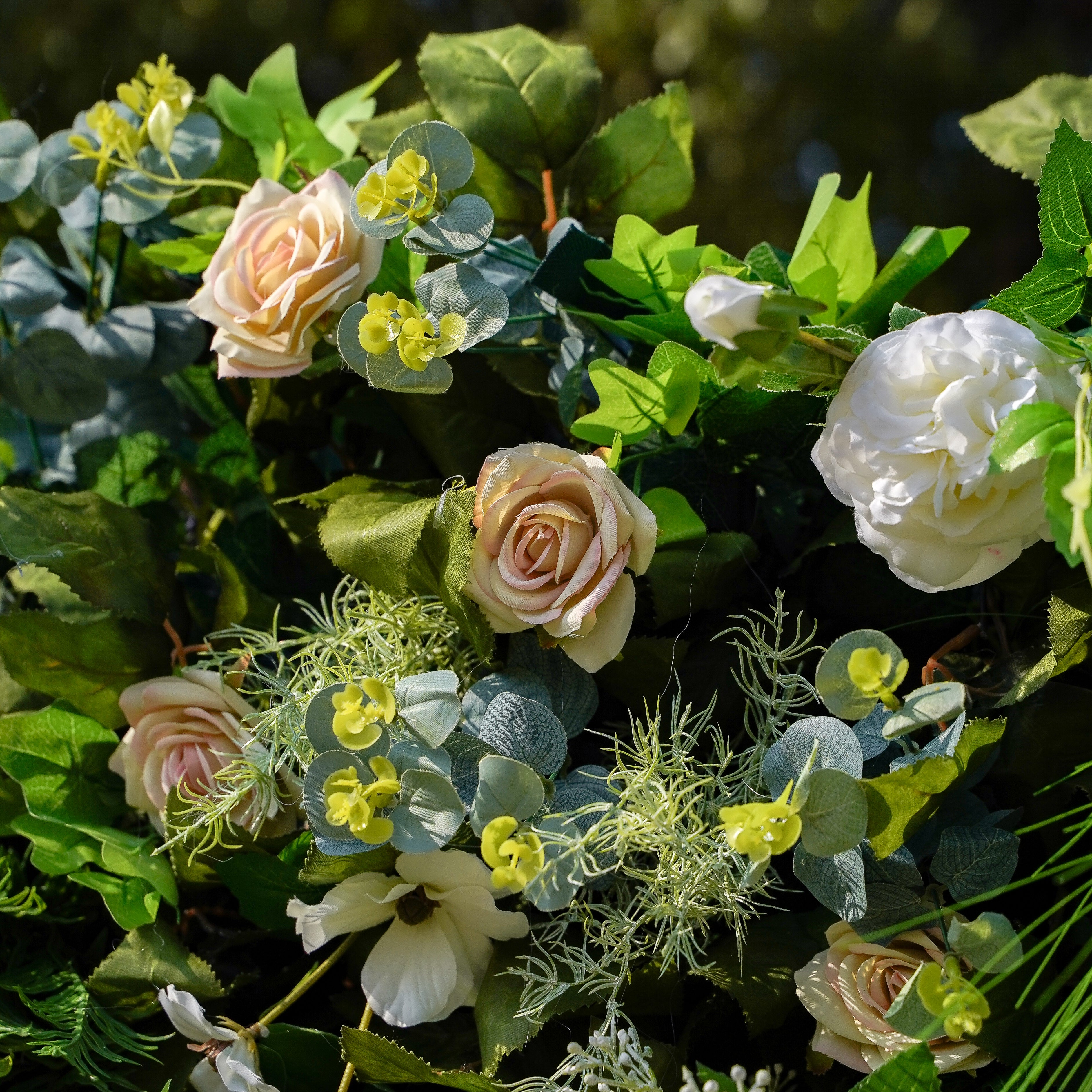 Drusilla:5D Fabric Artificial rolling up curtain flower wall Rose Morning