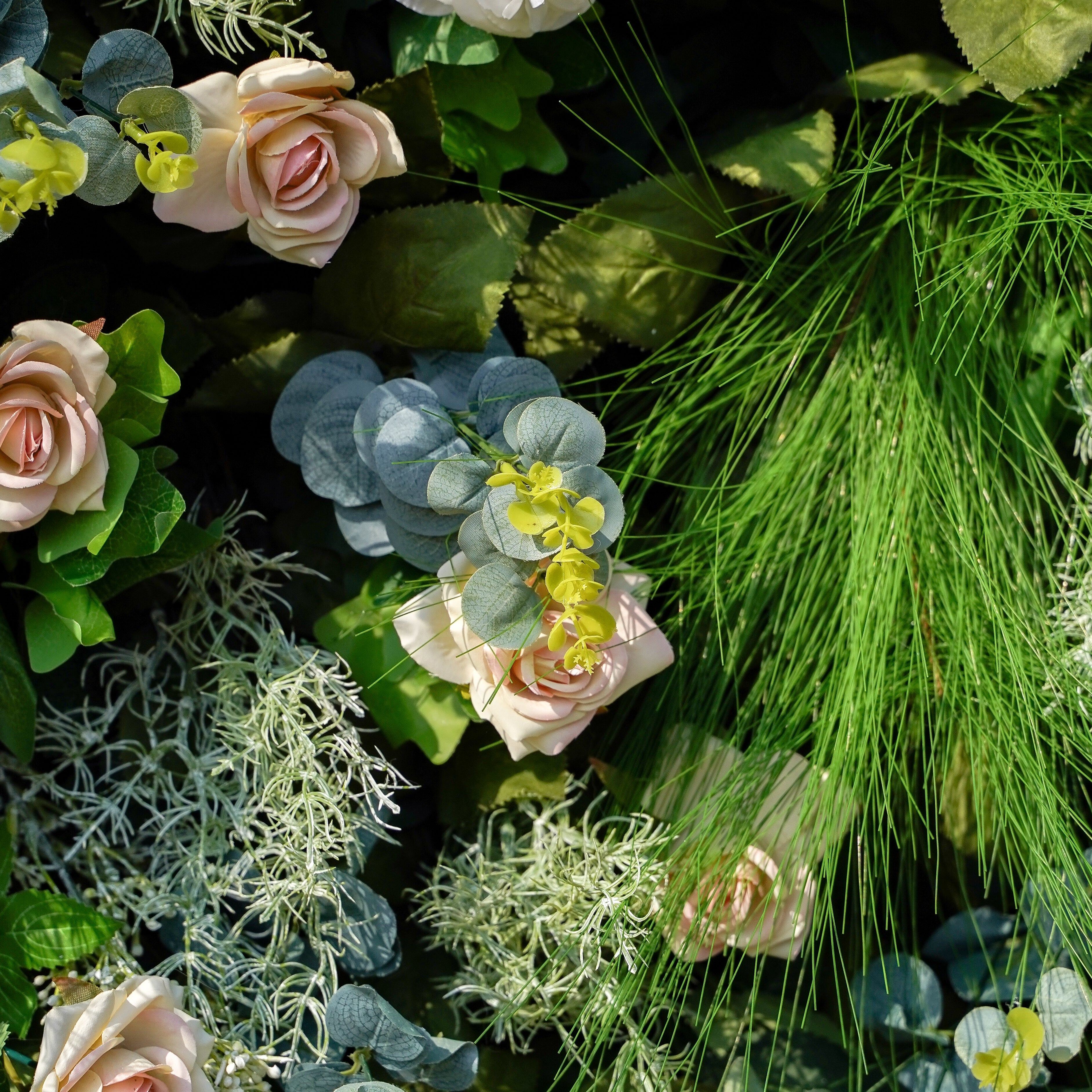 Drusilla:5D Fabric Artificial rolling up curtain flower wall Rose Morning