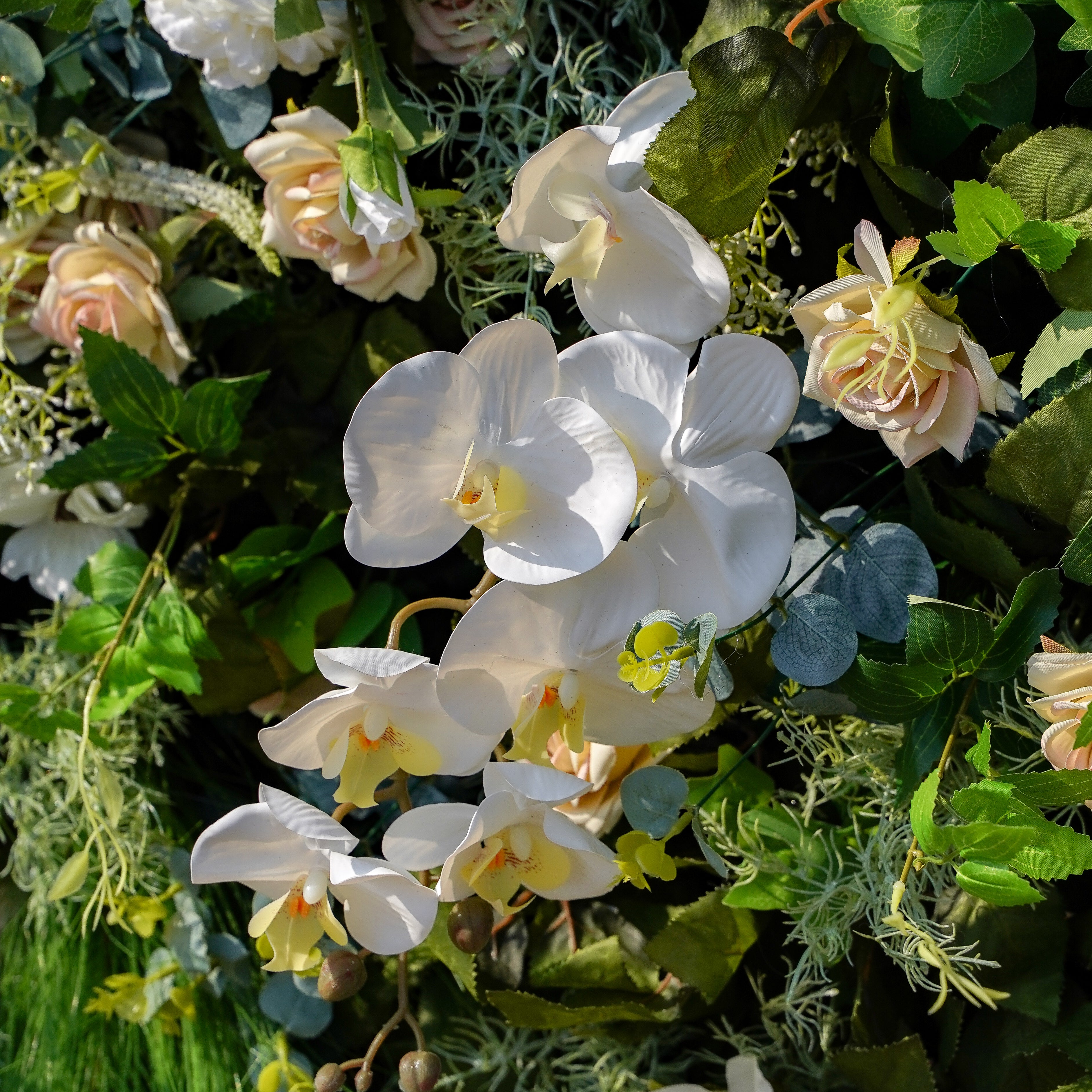 Drusilla:5D Fabric Artificial rolling up curtain flower wall Rose Morning