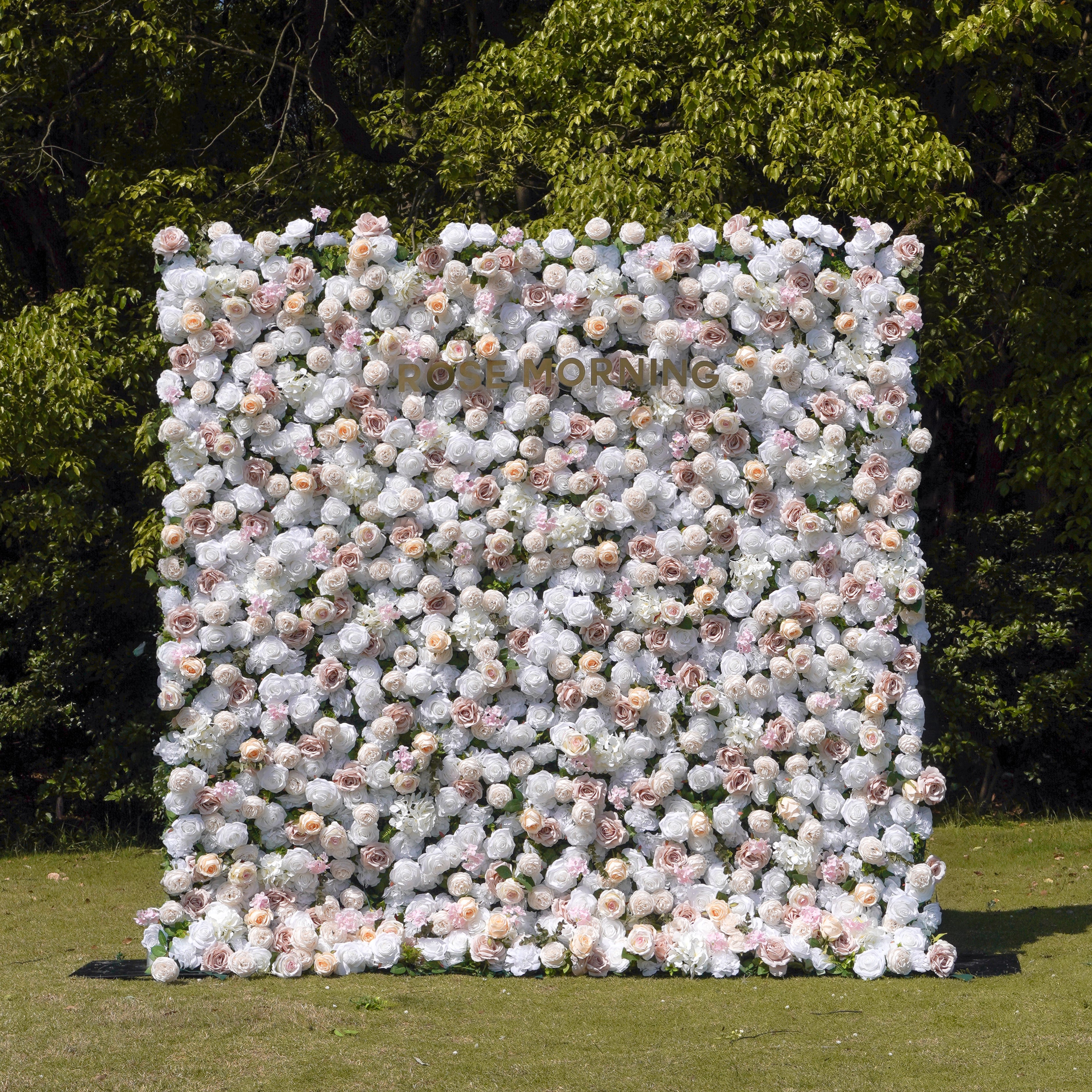 Elain:5D Fabric Artificial rolling up curtain flower wall Rose Morning