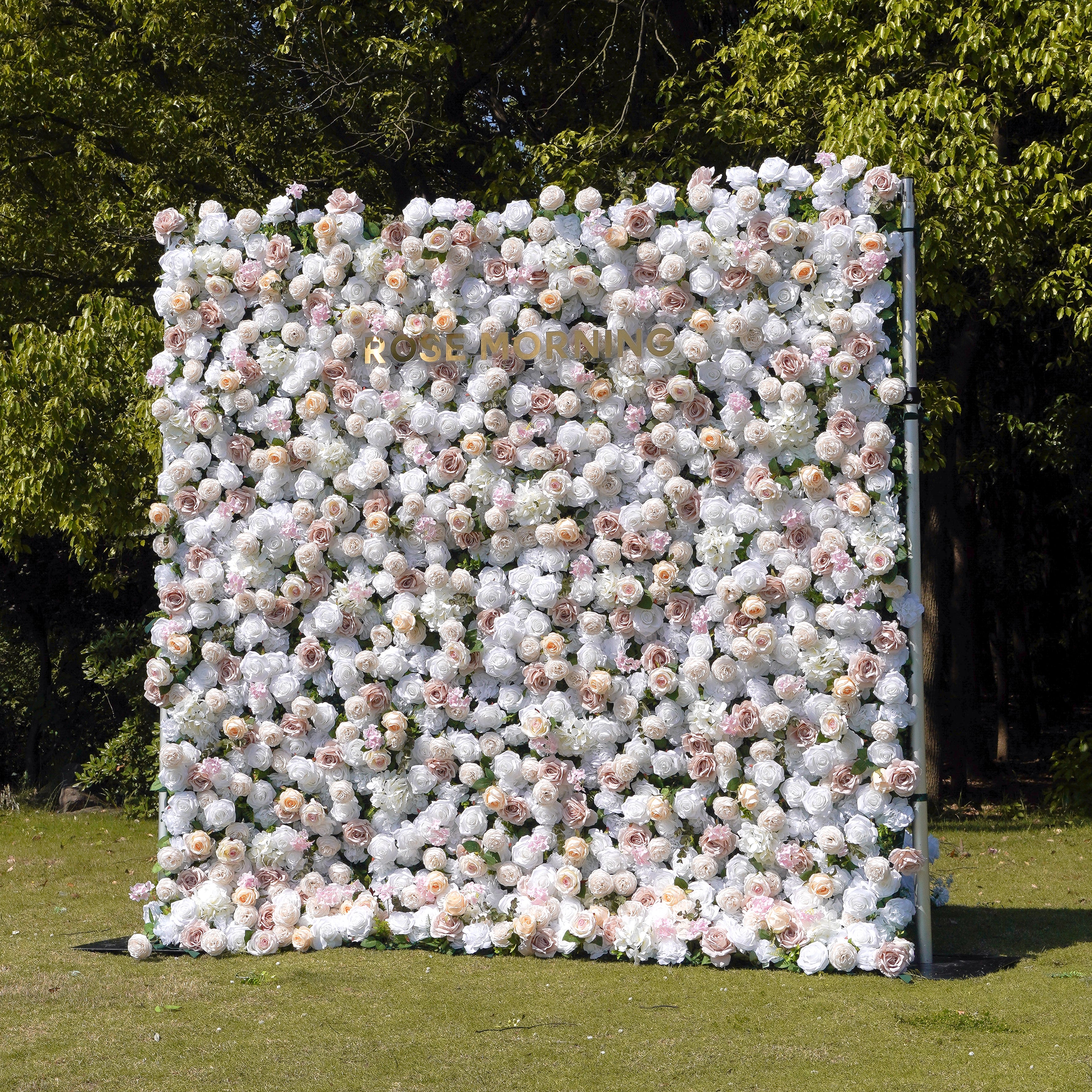 Elain:5D Fabric Artificial rolling up curtain flower wall Rose Morning