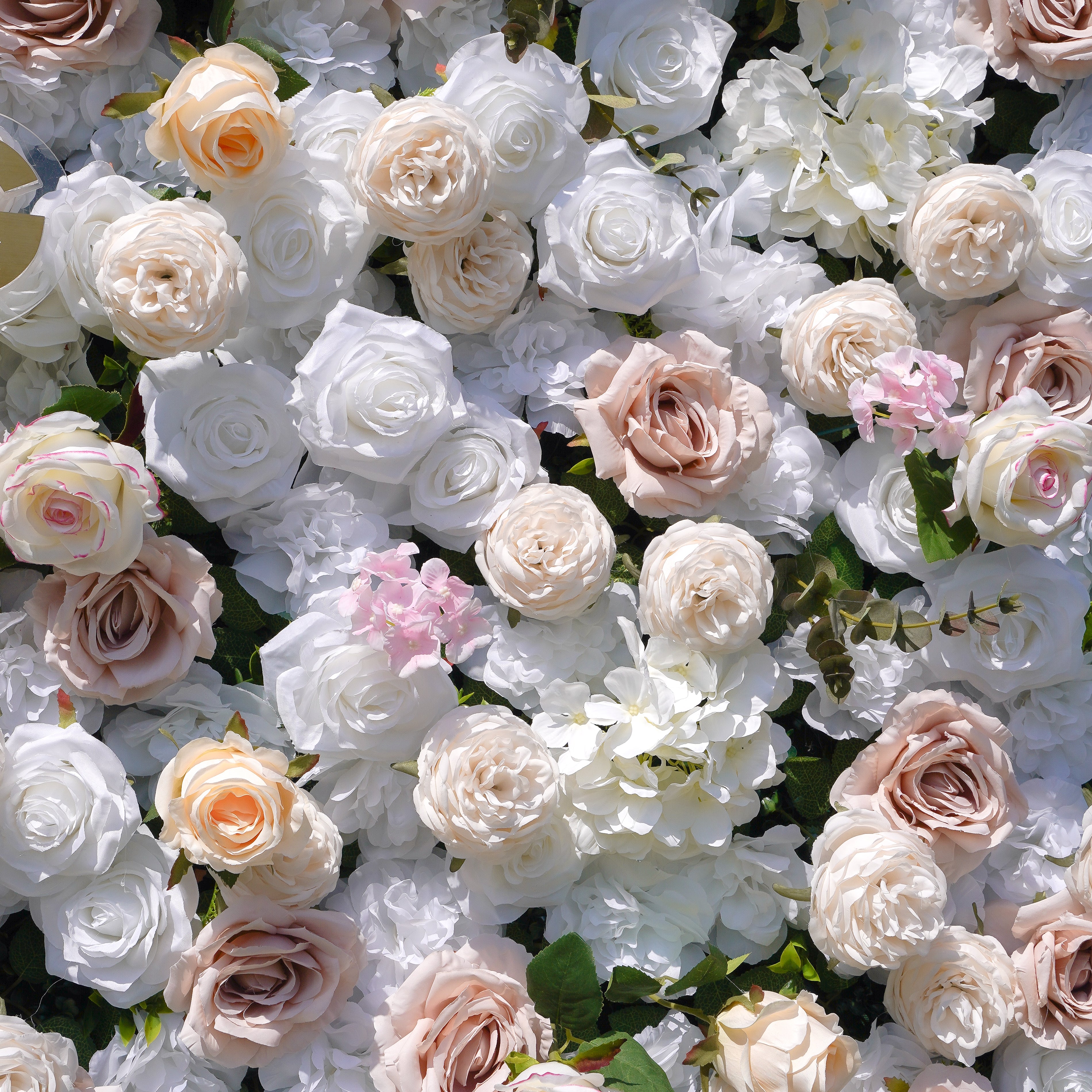Elain:5D Fabric Artificial rolling up curtain flower wall Rose Morning