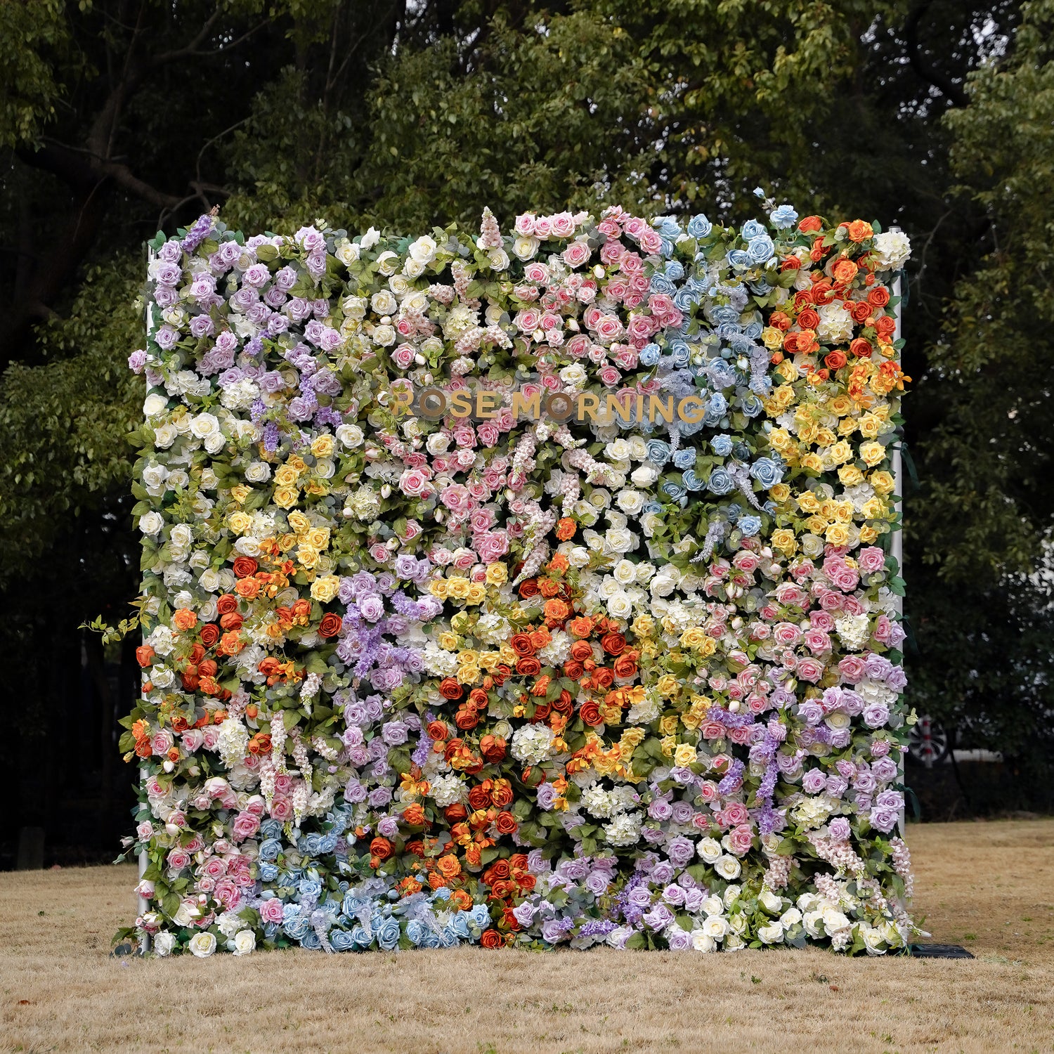 Eileen:5D 2023 New Fabric Artificial rolling up curtain flower wall Rose Morning
