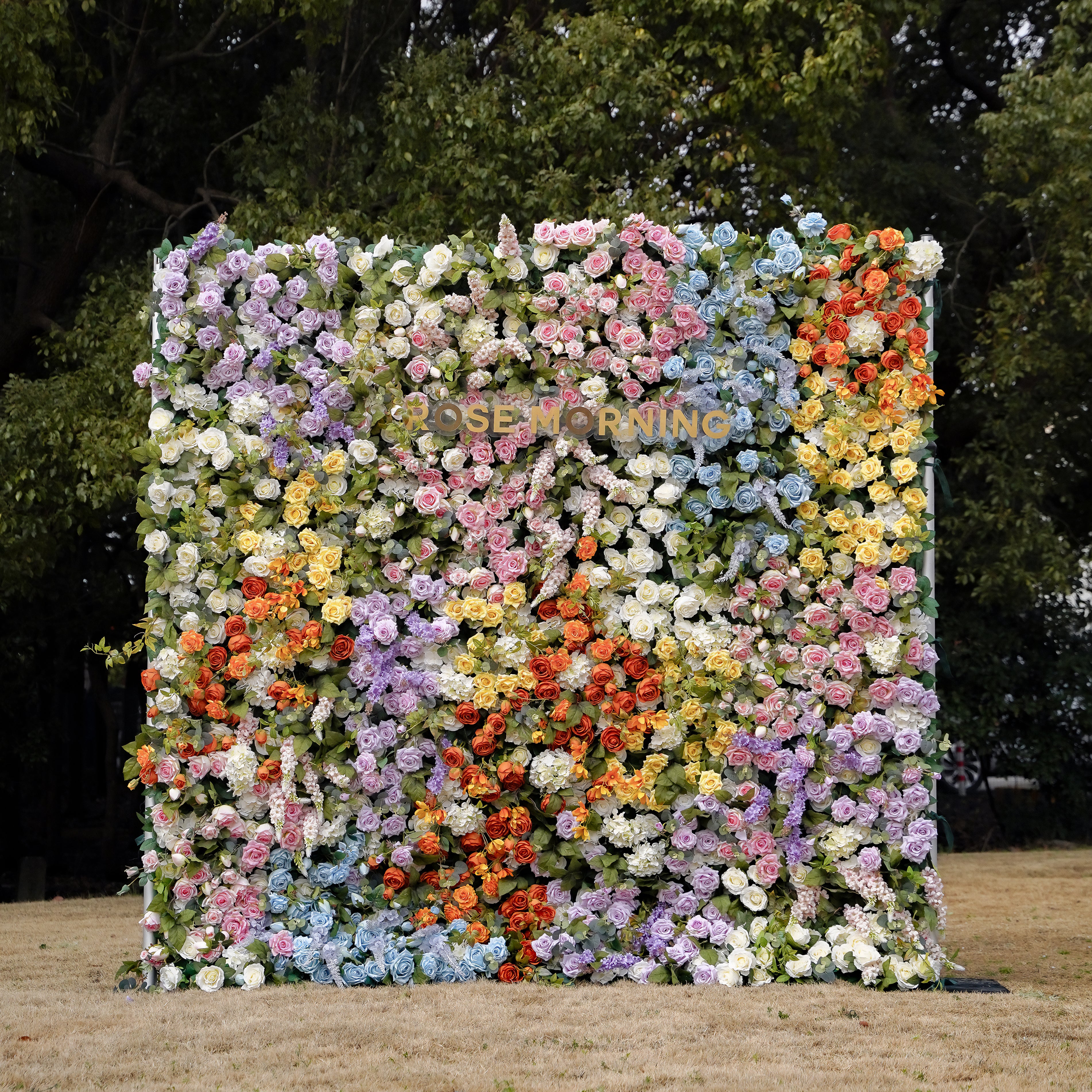 Eileen:5D 2023 New Fabric Artificial rolling up curtain flower wall Rose Morning