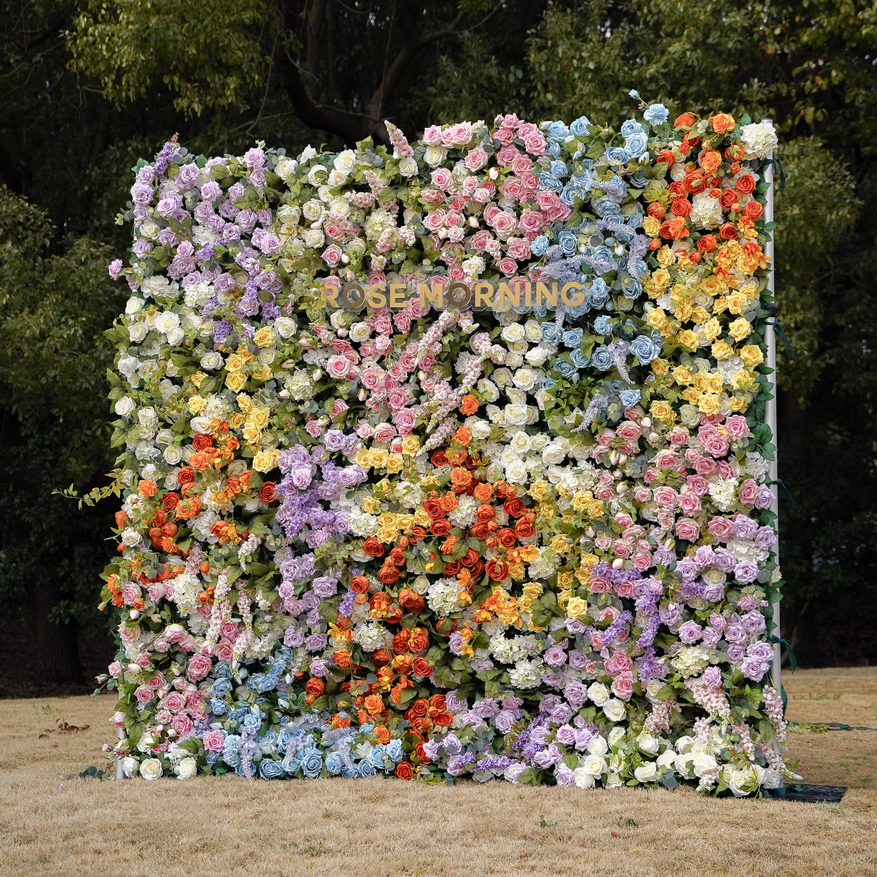 Eileen:5D 2023 New Fabric Artificial rolling up curtain flower wall Rose Morning