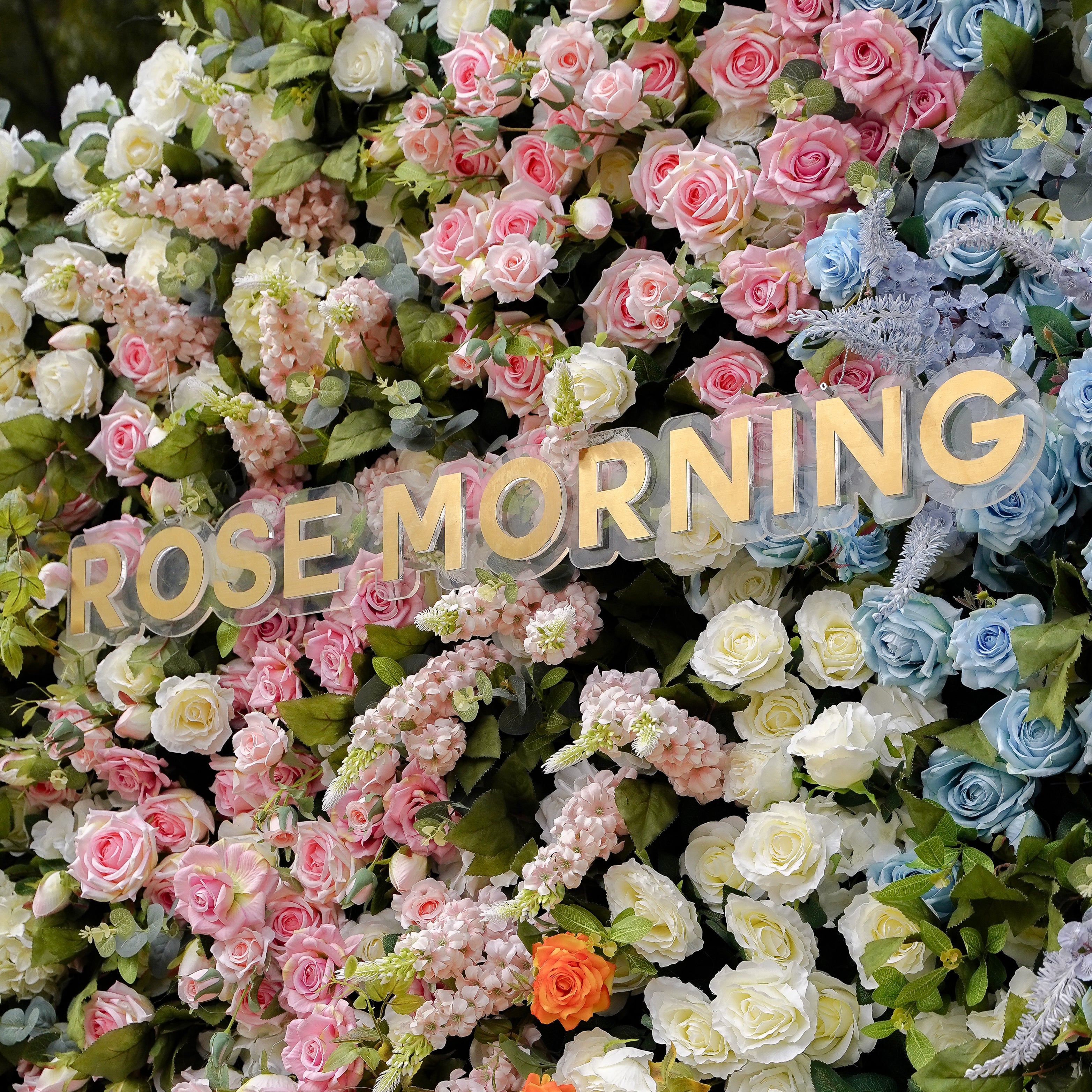 Eileen:5D 2023 New Fabric Artificial rolling up curtain flower wall Rose Morning