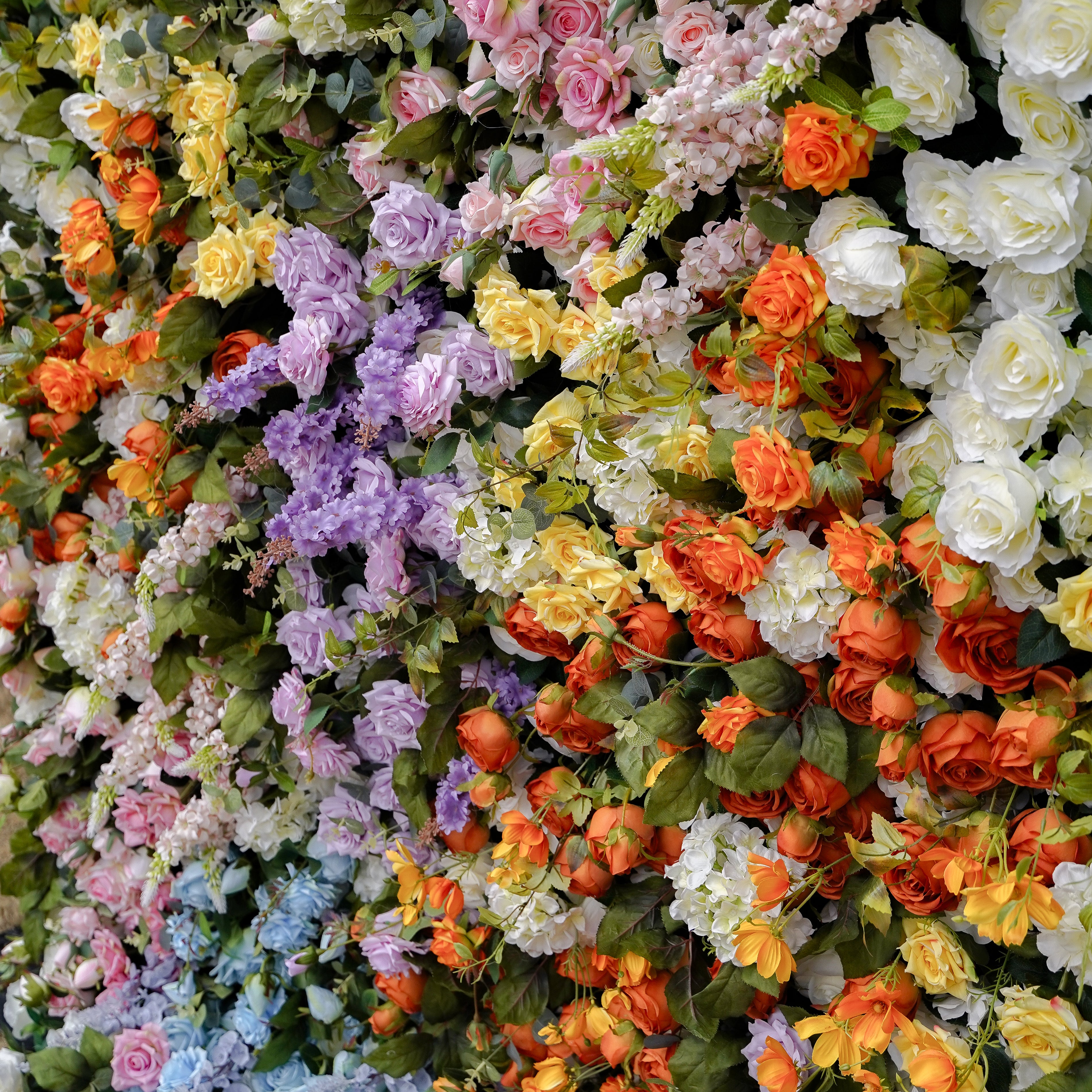 Eileen:5D 2023 New Fabric Artificial rolling up curtain flower wall Rose Morning