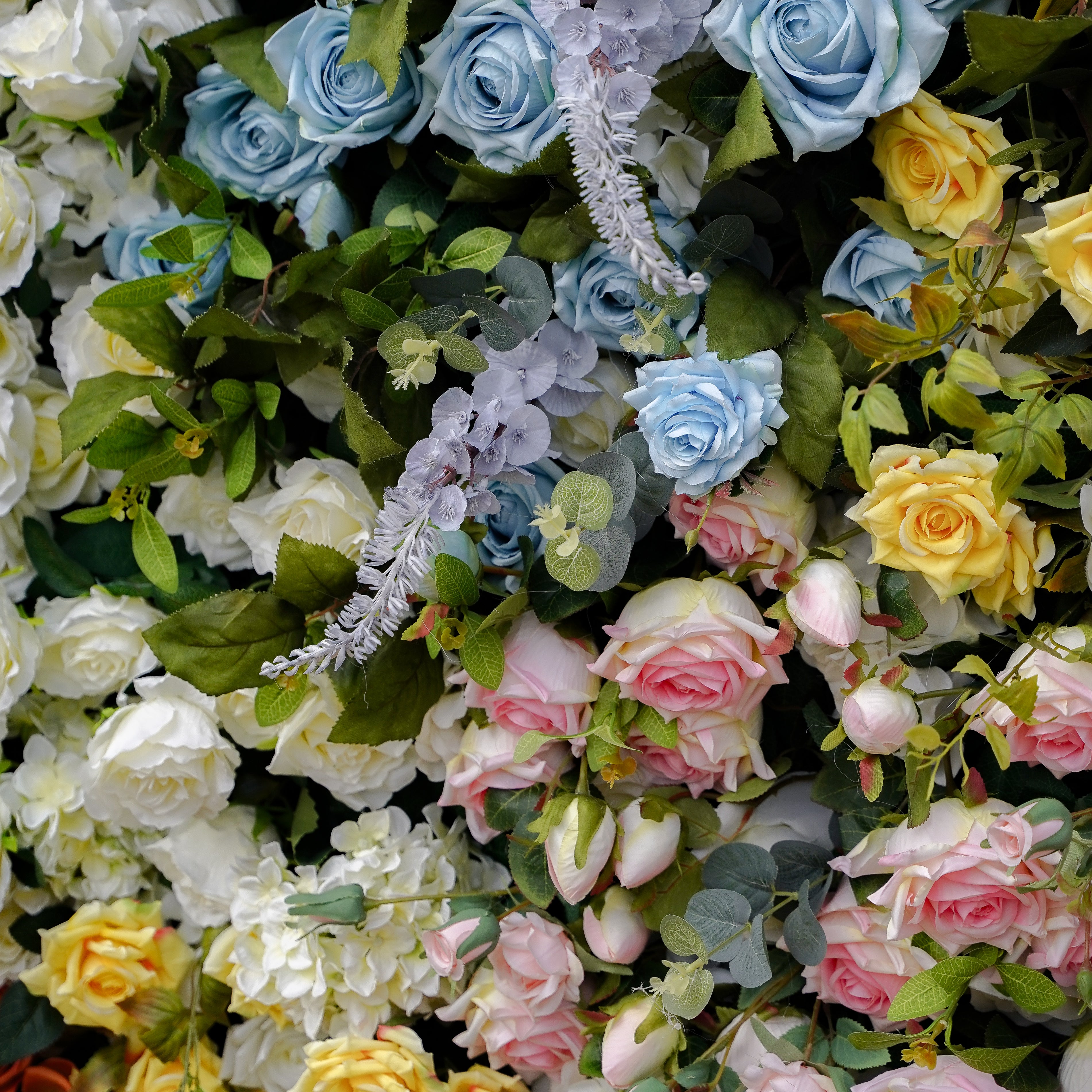 Eileen:5D 2023 New Fabric Artificial rolling up curtain flower wall Rose Morning