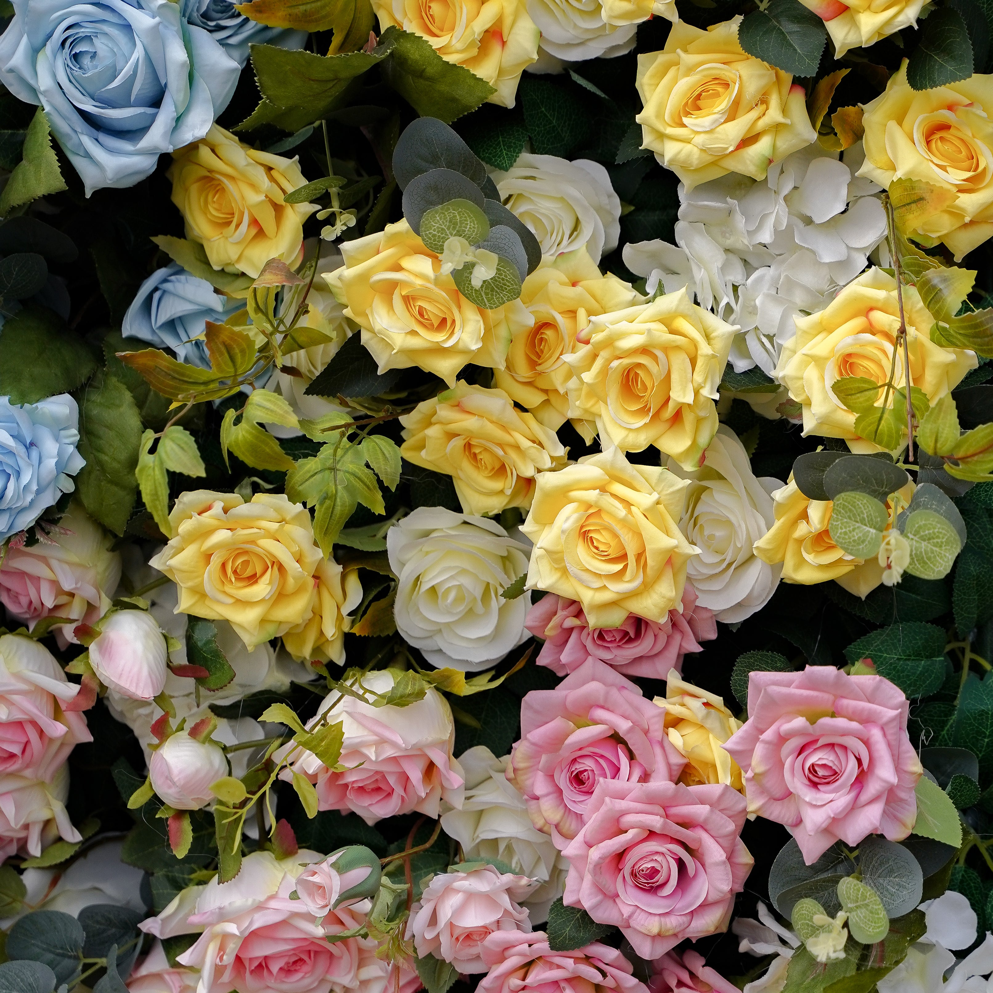 Eileen:5D 2023 New Fabric Artificial rolling up curtain flower wall Rose Morning