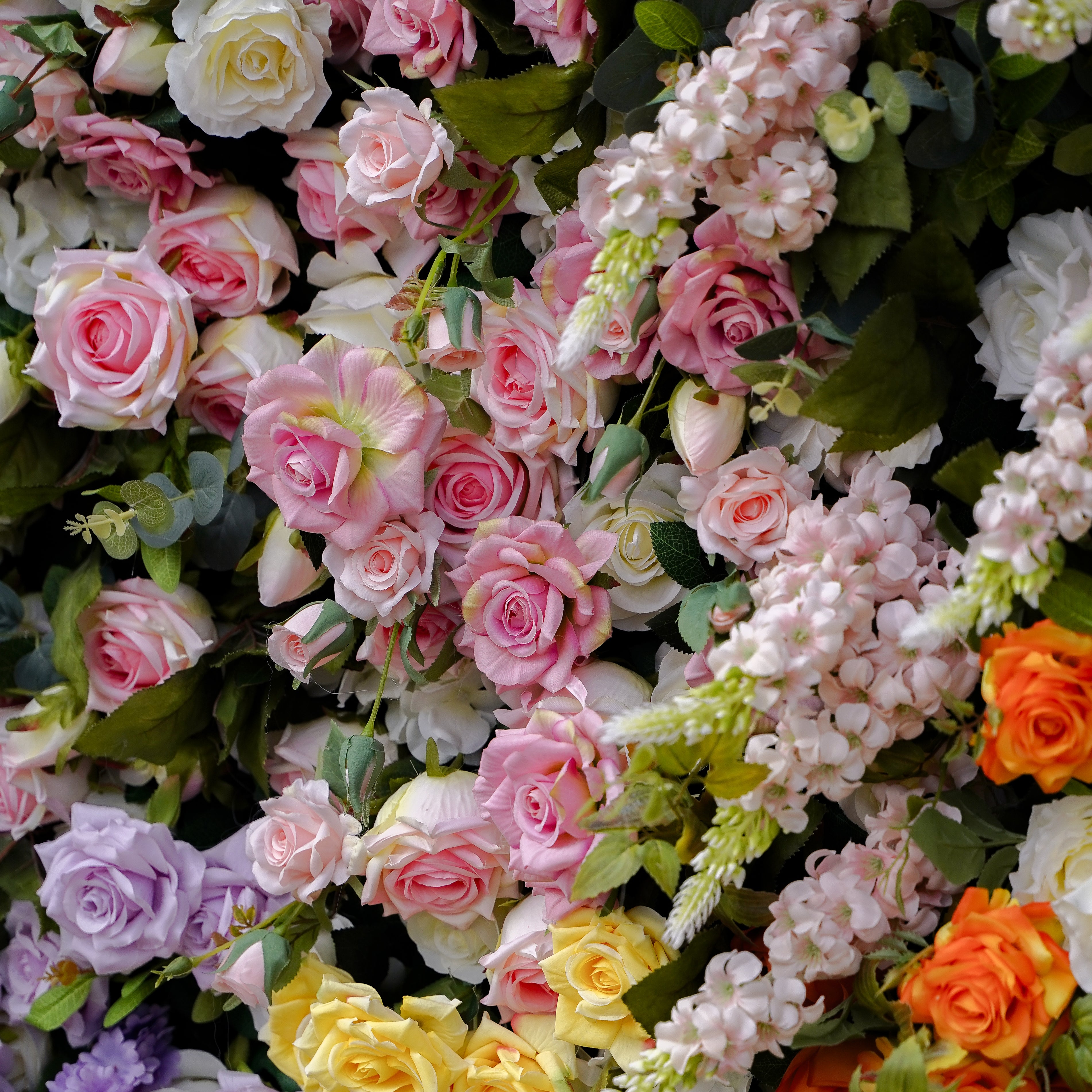 Eileen:5D 2023 New Fabric Artificial rolling up curtain flower wall Rose Morning