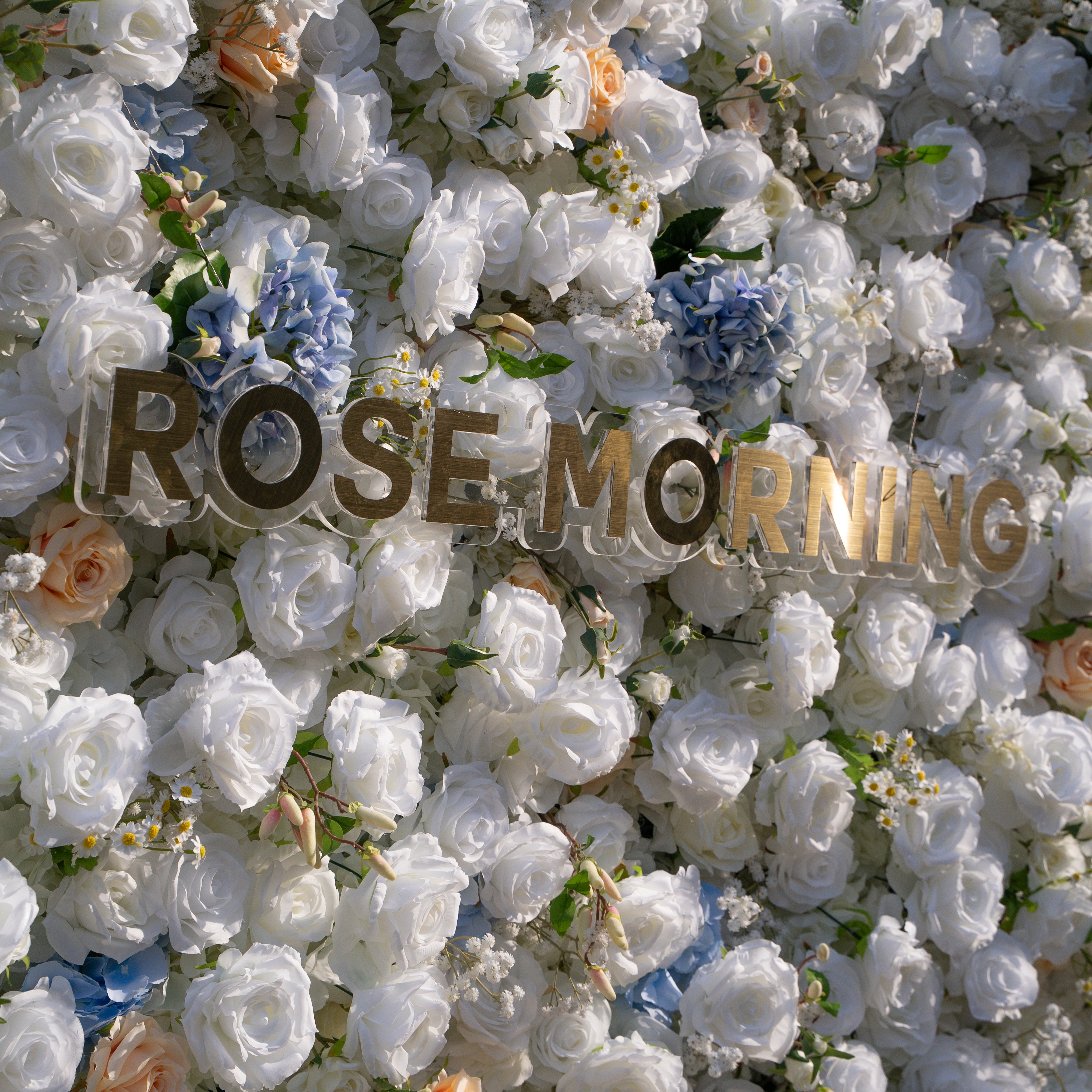 Elodie: 5D White and Yellow Silk Rose with Blue hydrangeas Flower Wall Roll-Up Fabric Backdrop for Elegant Weddings & Events Decoration