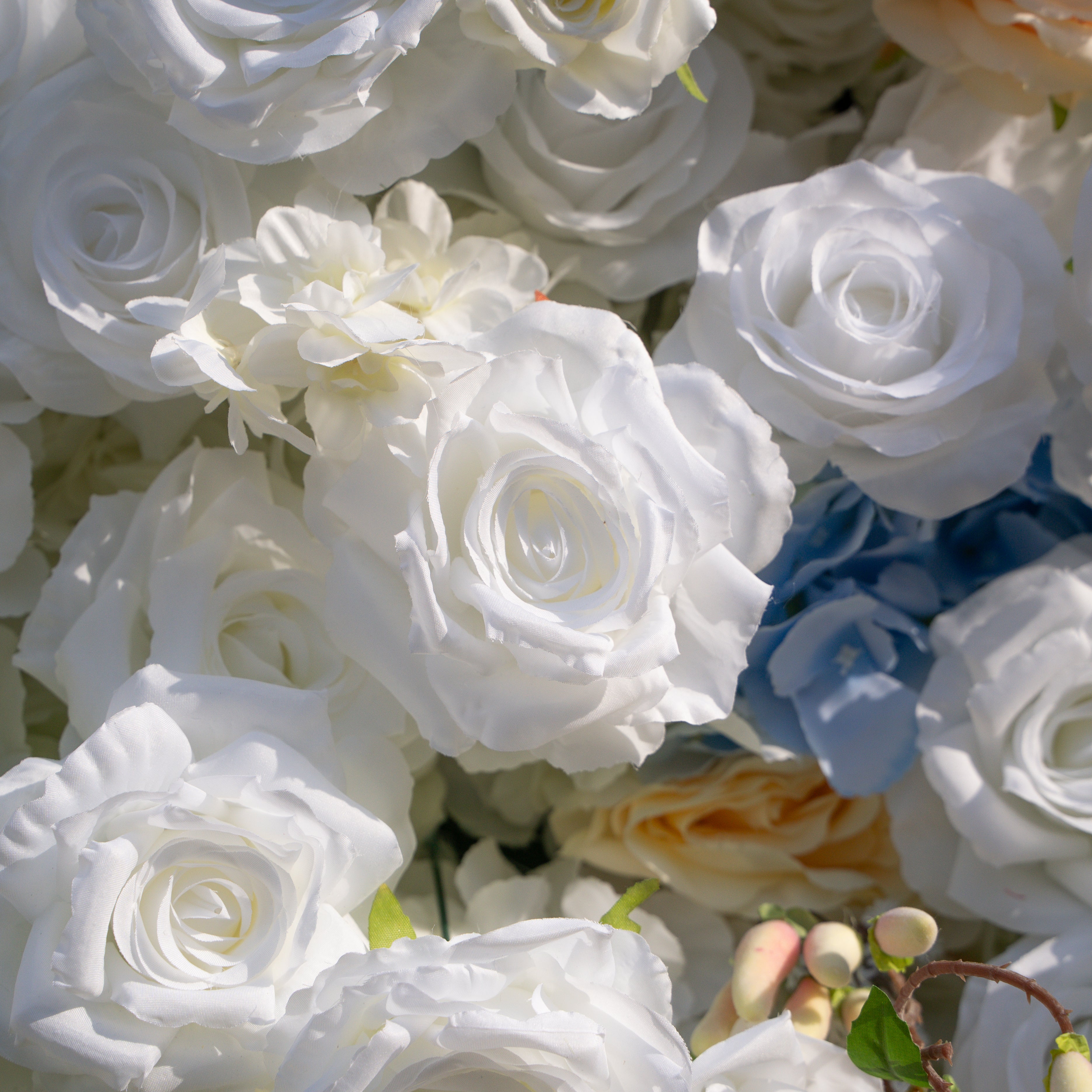 Elodie: 5D White and Yellow Silk Rose with Blue hydrangeas Flower Wall Roll-Up Fabric Backdrop for Elegant Weddings & Events Decoration