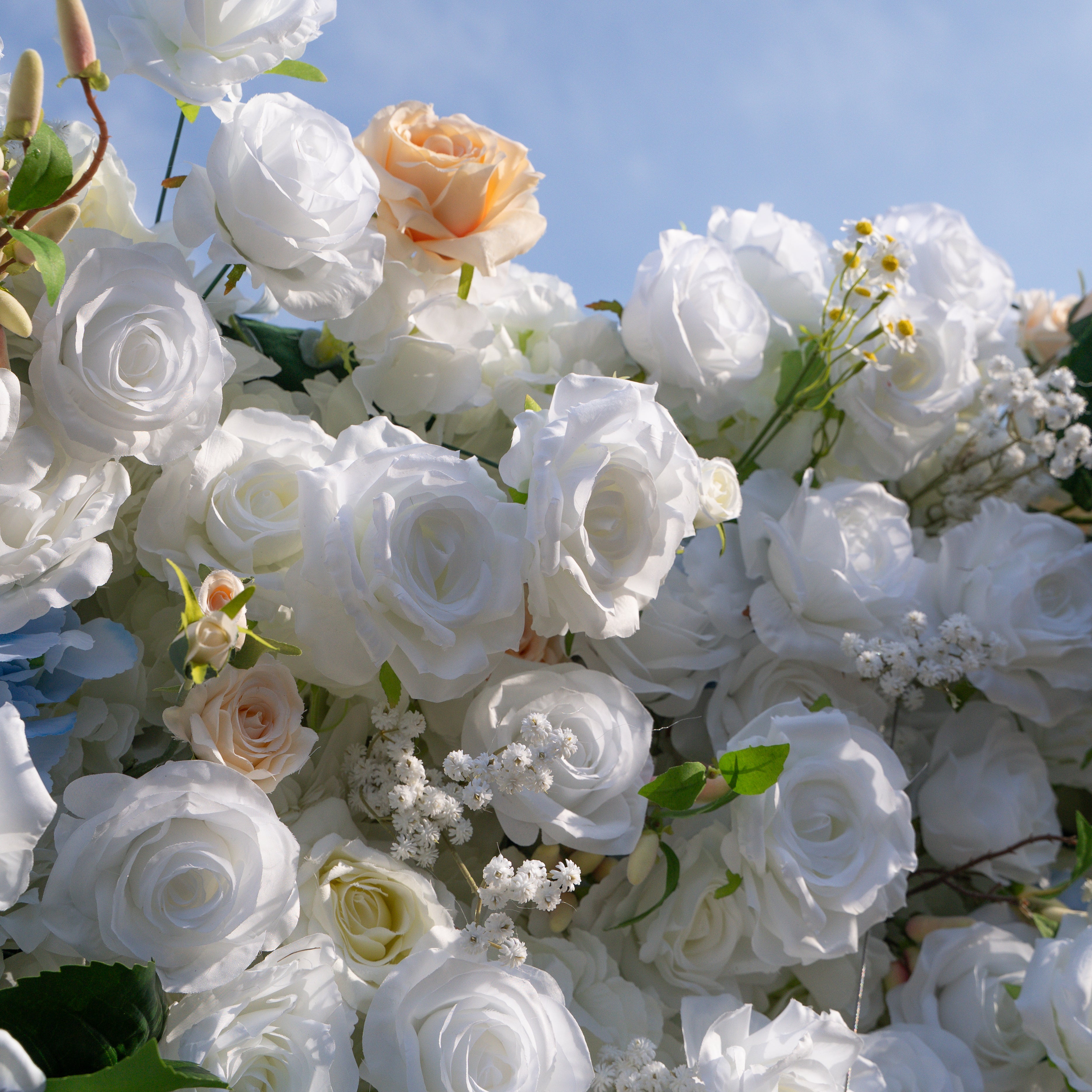 Elodie: 5D White and Yellow Silk Rose with Blue hydrangeas Flower Wall Roll-Up Fabric Backdrop for Elegant Weddings & Events Decoration