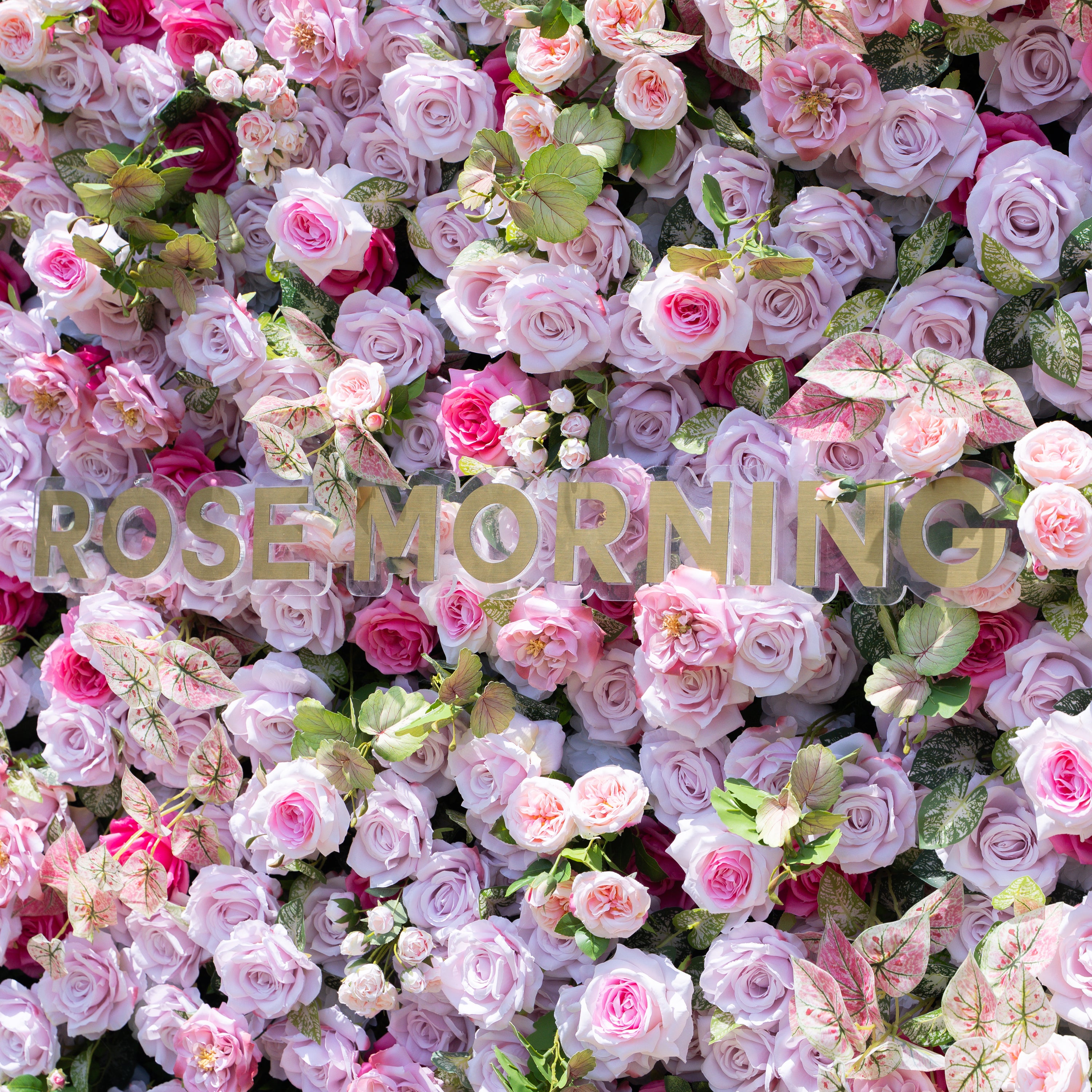Eugenia:5D Fabric Artificial zip up curtain flower wall 8ft*8ft
