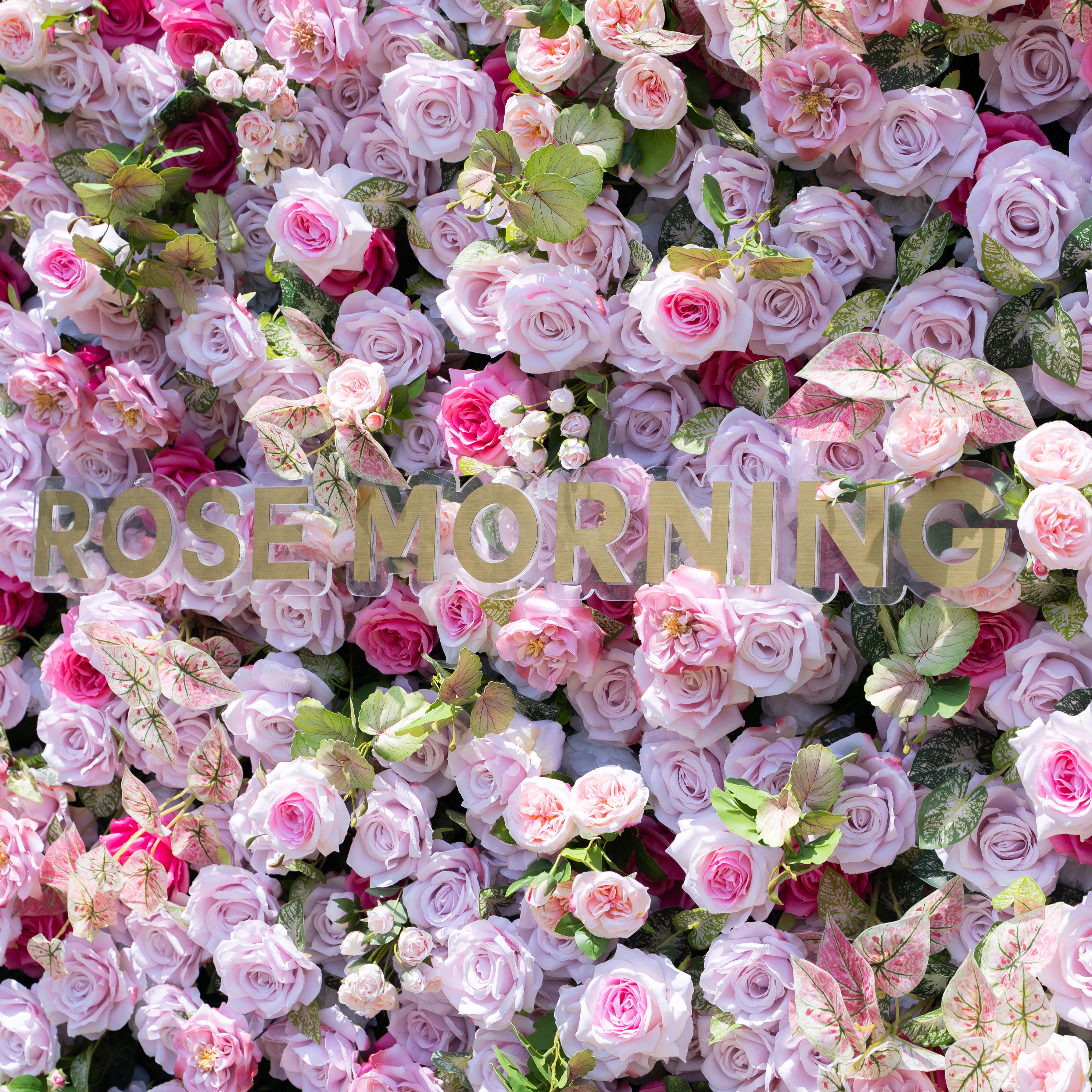 Eugenia:5D Fabric Artificial zip up curtain flower wall 8ft*8ft