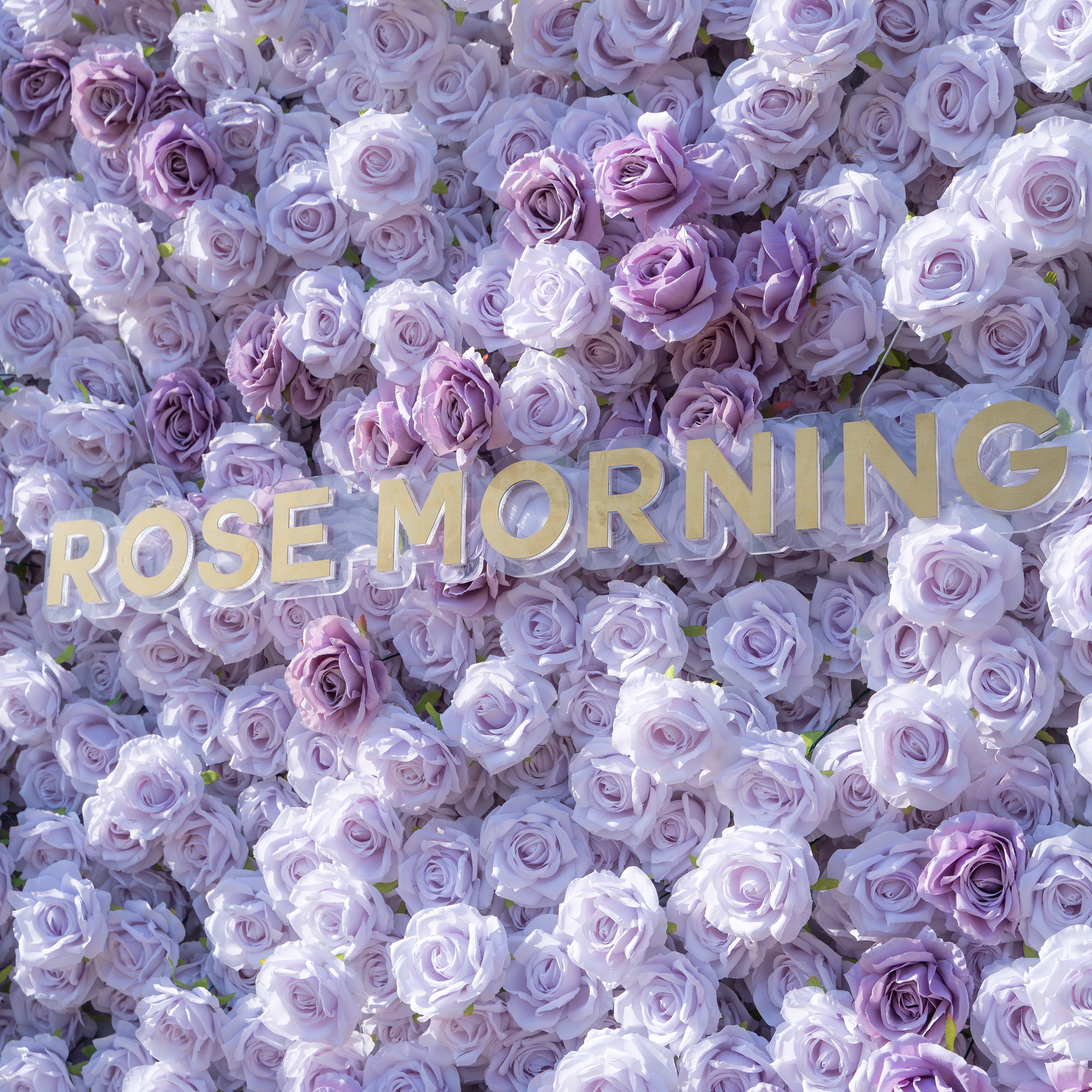 Fate:3D Fabric Artificial rolling up curtain flower wall