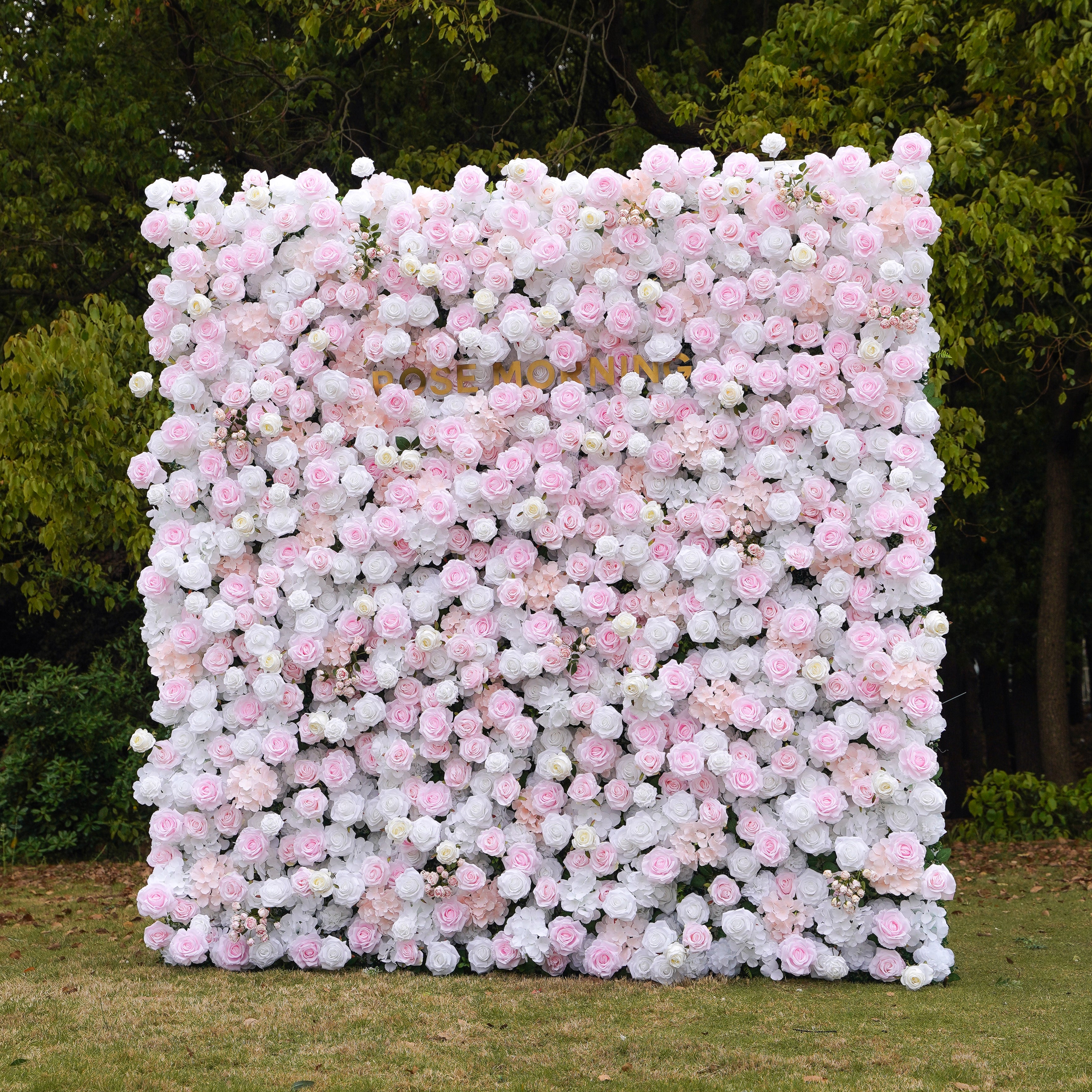 Felicia:5D Fabric Artificial rolling up curtain flower wall Rose Morning
