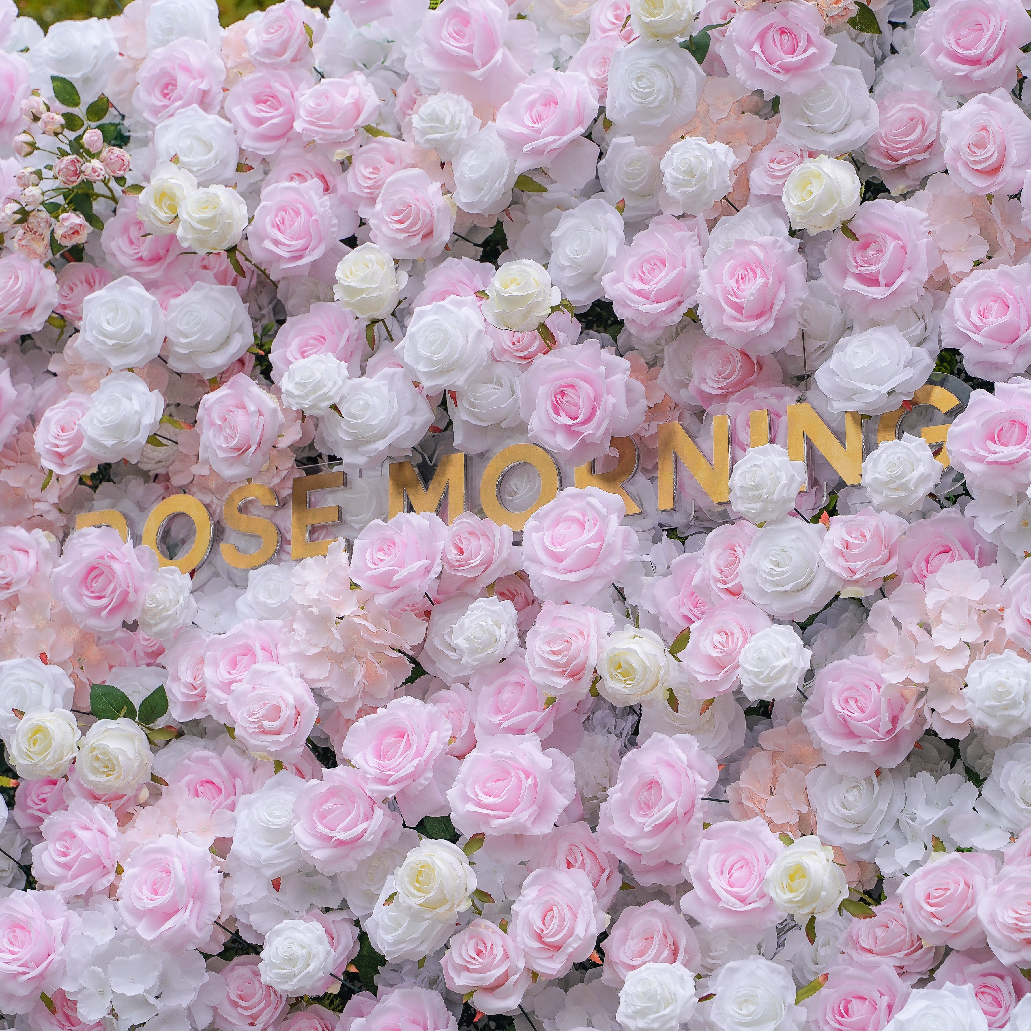 Felicia:5D Fabric Artificial rolling up curtain flower wall Rose Morning