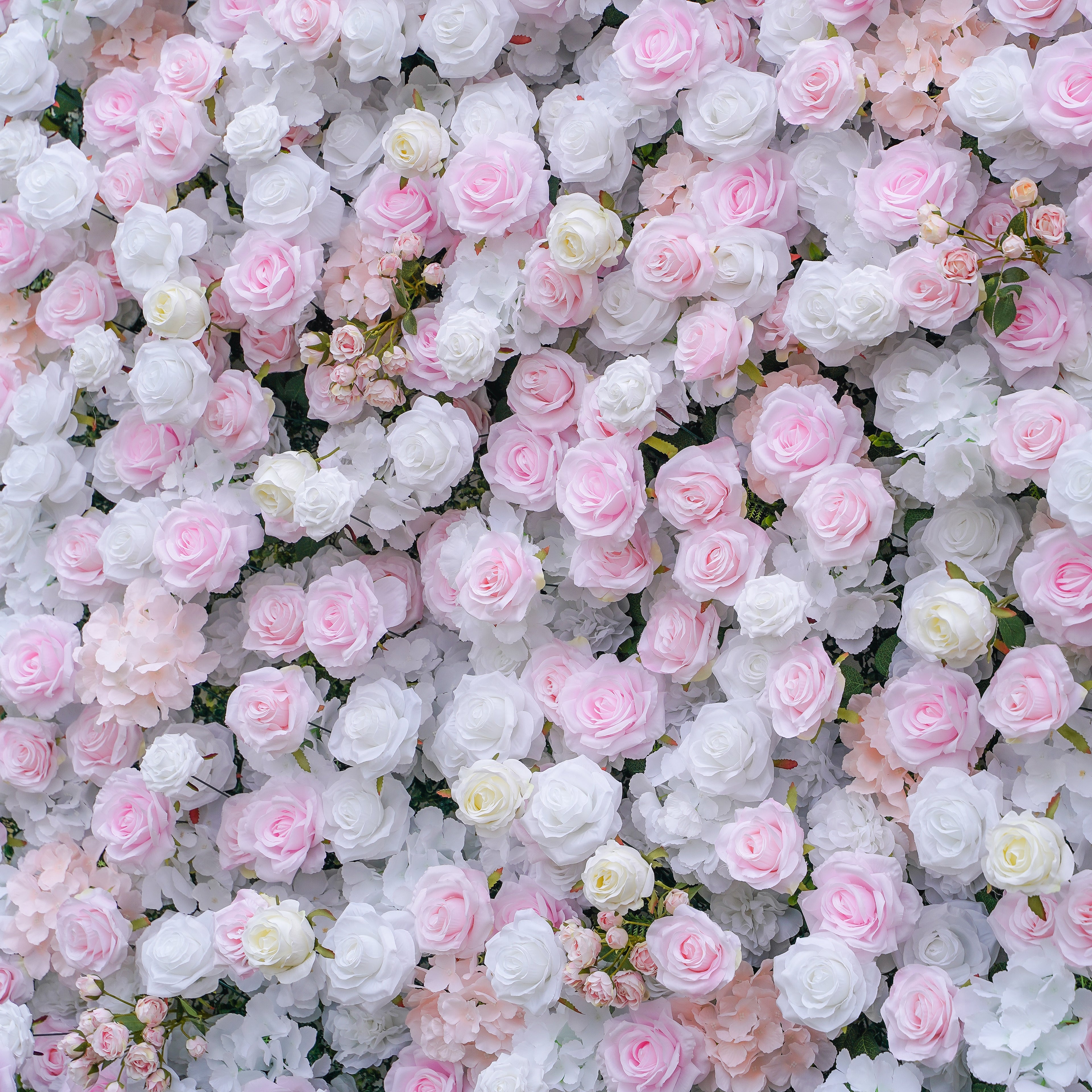 Felicia:5D Fabric Artificial rolling up curtain flower wall Rose Morning