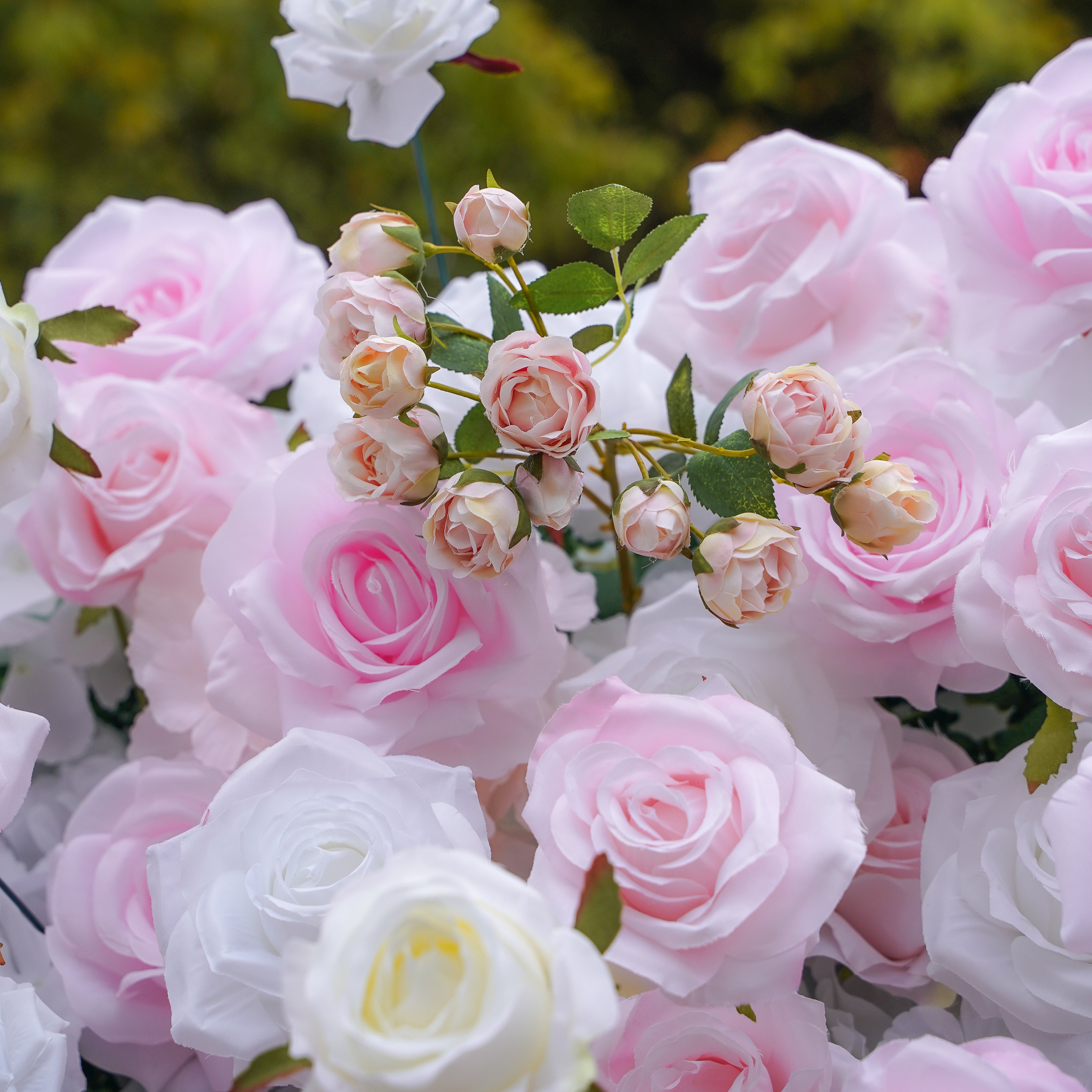 Felicia:5D Fabric Artificial rolling up curtain flower wall Rose Morning