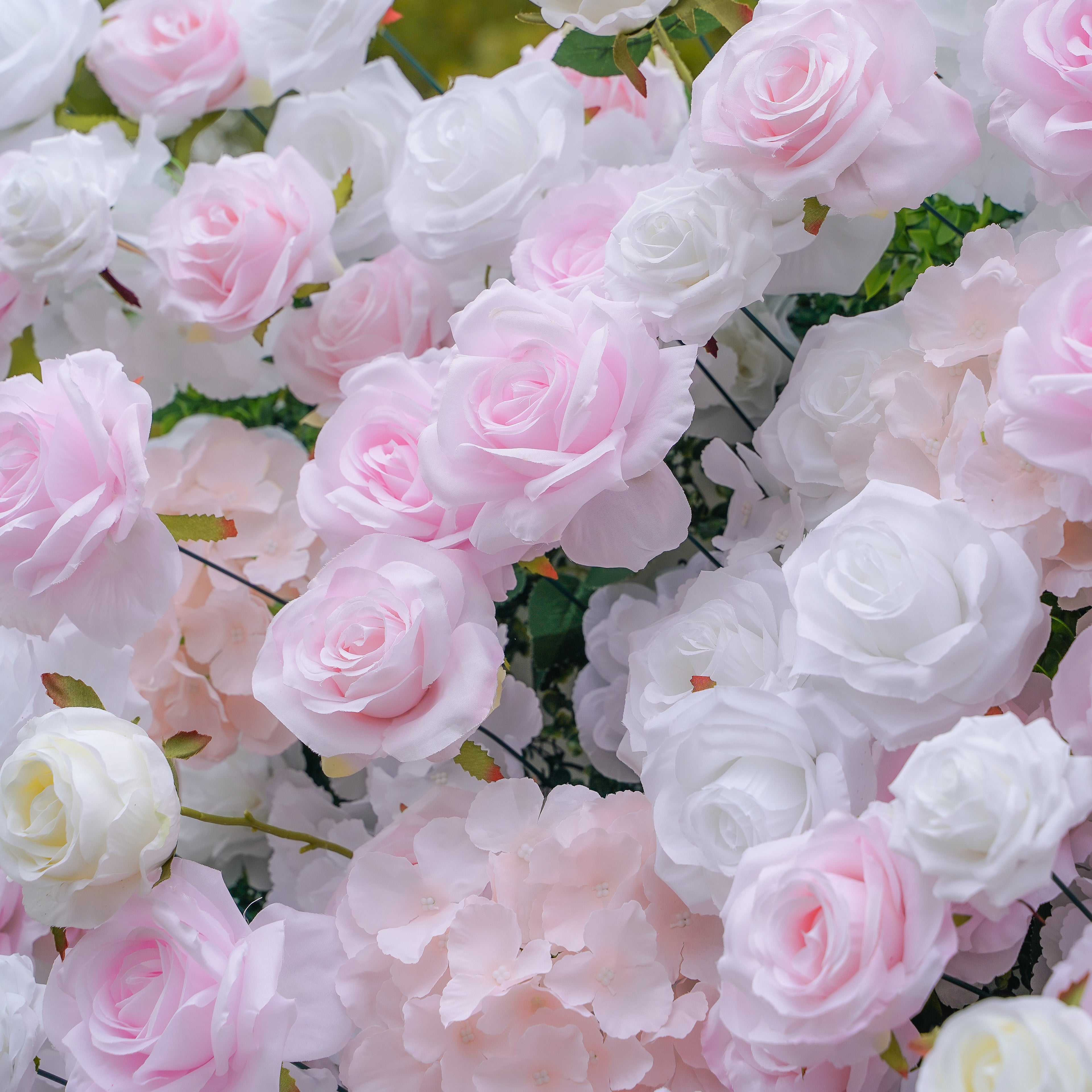 Felicia:5D Fabric Artificial rolling up curtain flower wall Rose Morning